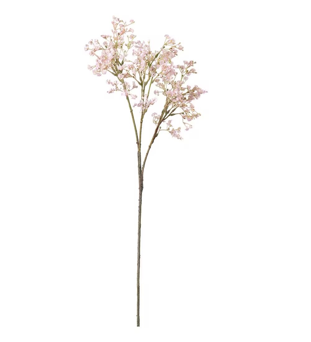 Brudslöja