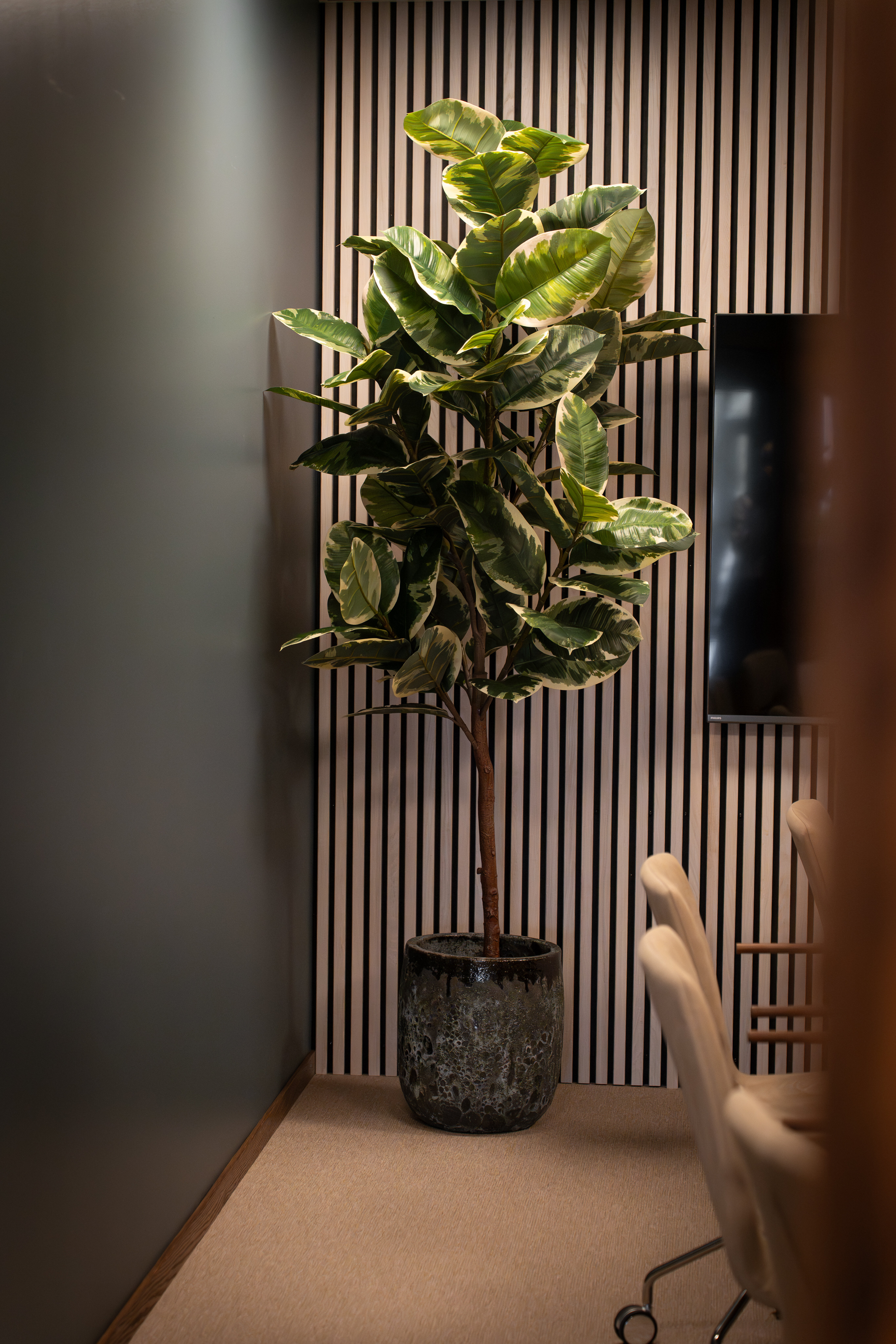https://www.mrplantshopb2b.se/pub_docs/files/JH702064.jpg