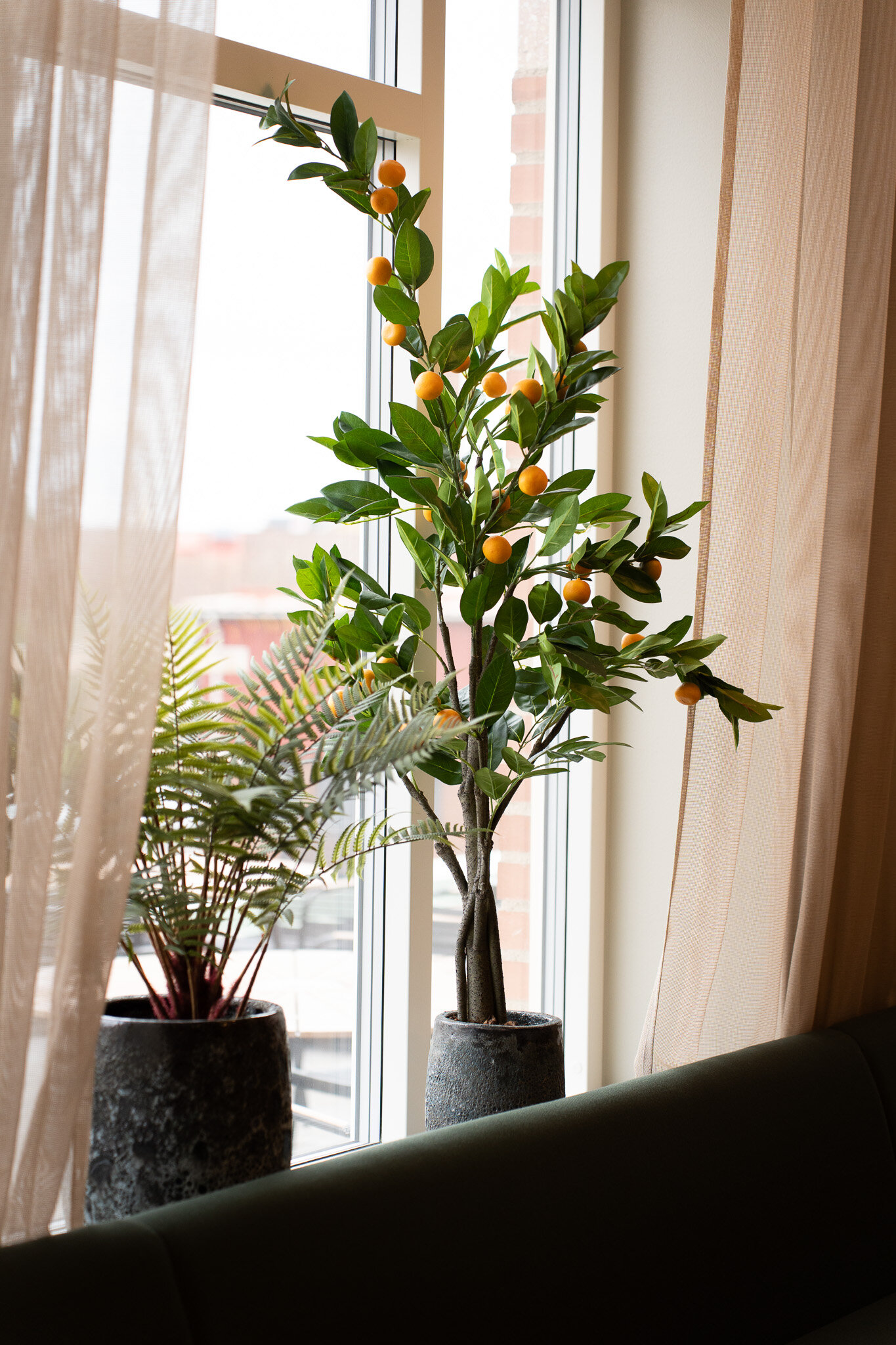 https://www.mrplantshopb2b.se/pub_docs/files/JH702086.jpg