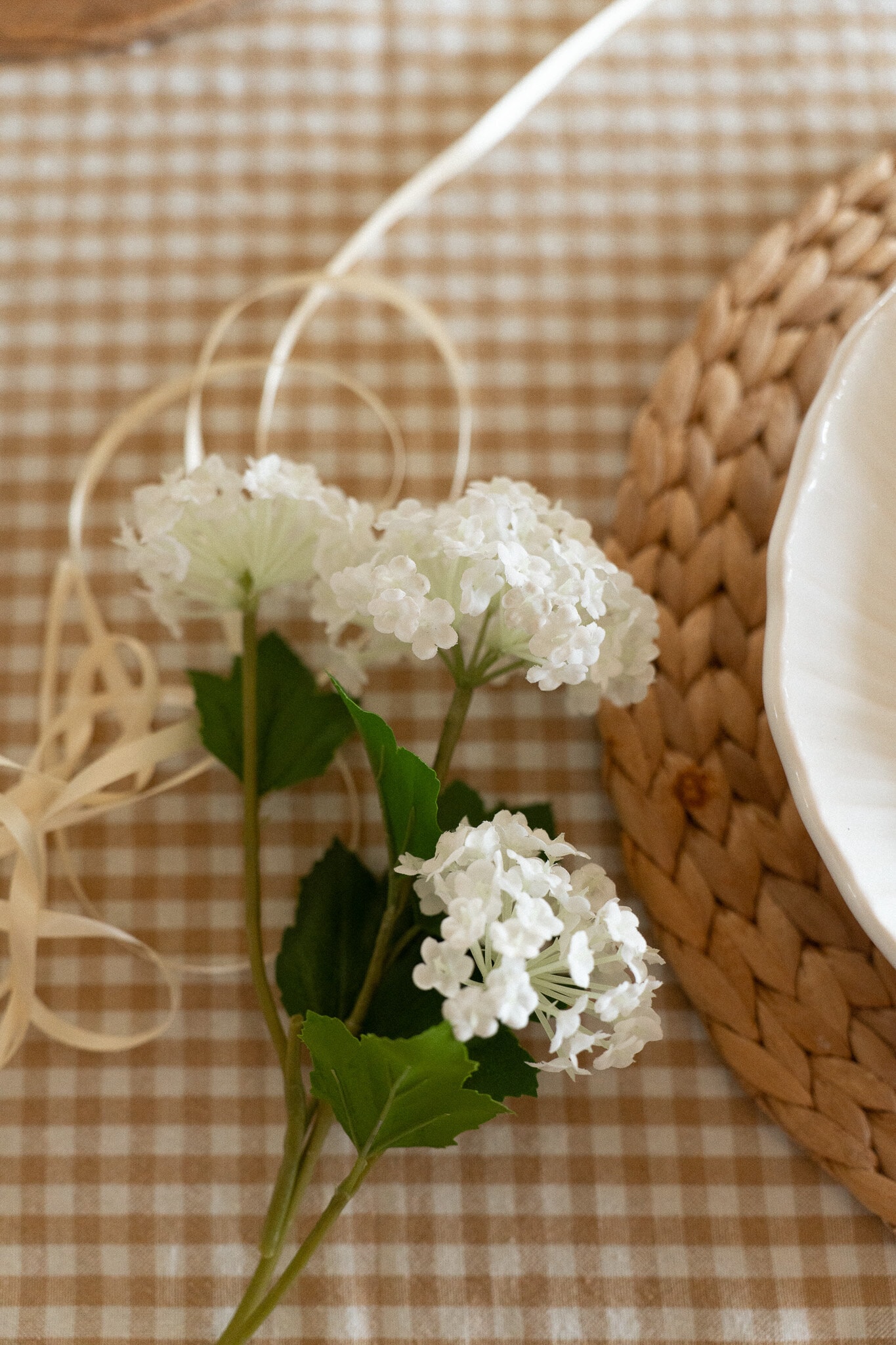 https://www.mrplantshopb2b.se/pub_docs/files/JH705917-2.jpg