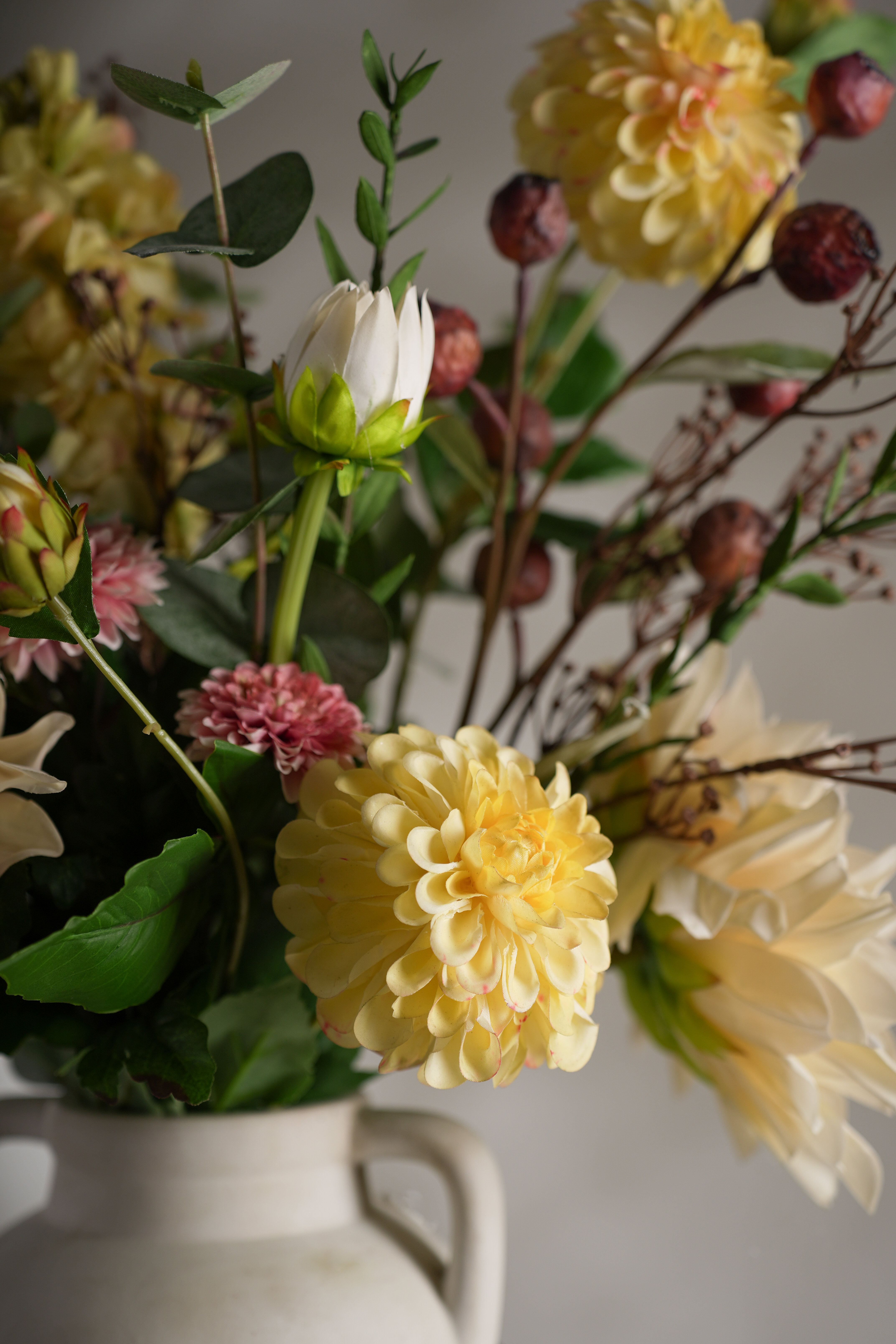 https://www.mrplantshopb2b.se/pub_docs/files/JH709523.jpg