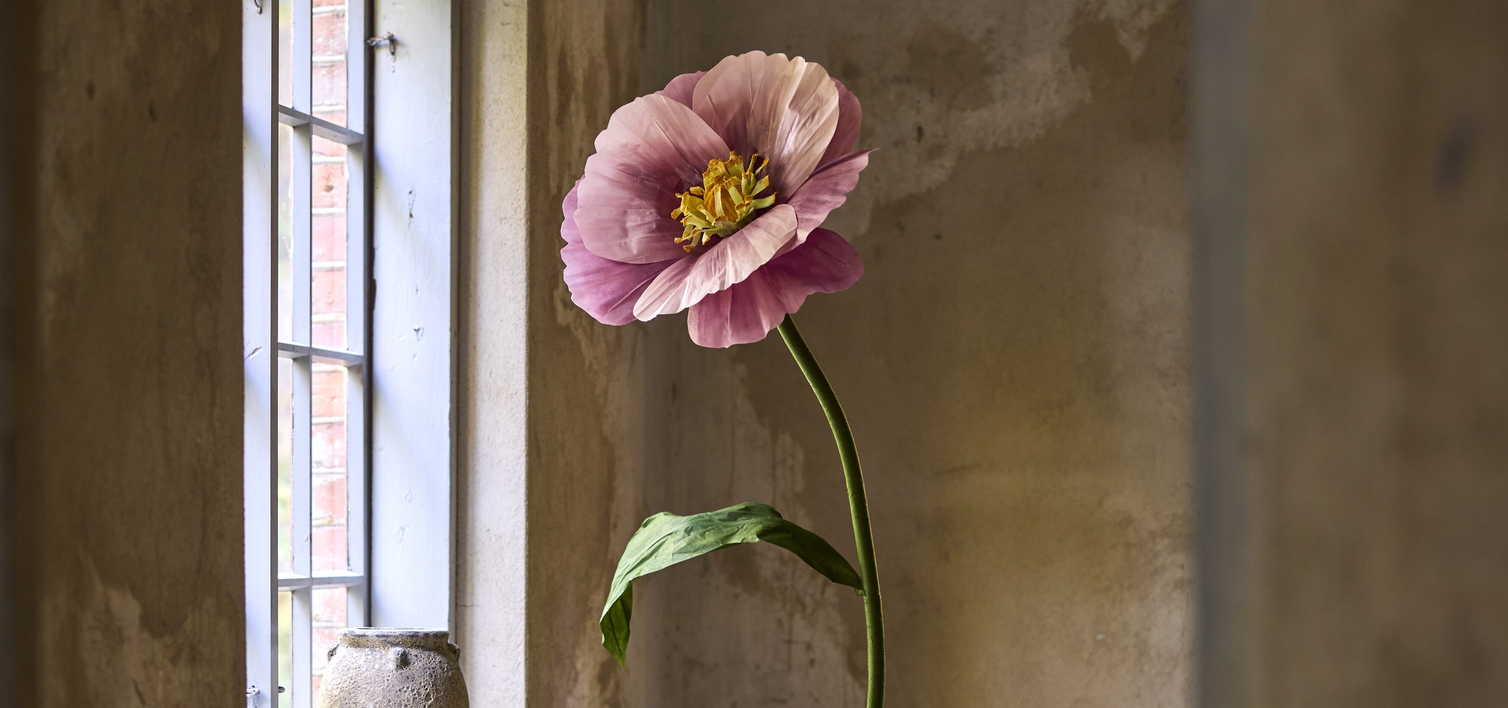 https://www.mrplantshopb2b.se/pub_docs/files/Karriar.jpg