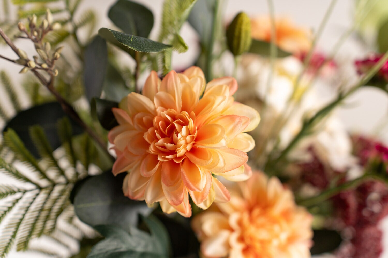 https://www.mrplantshopb2b.se/pub_docs/files/Mr-Plant.jpg