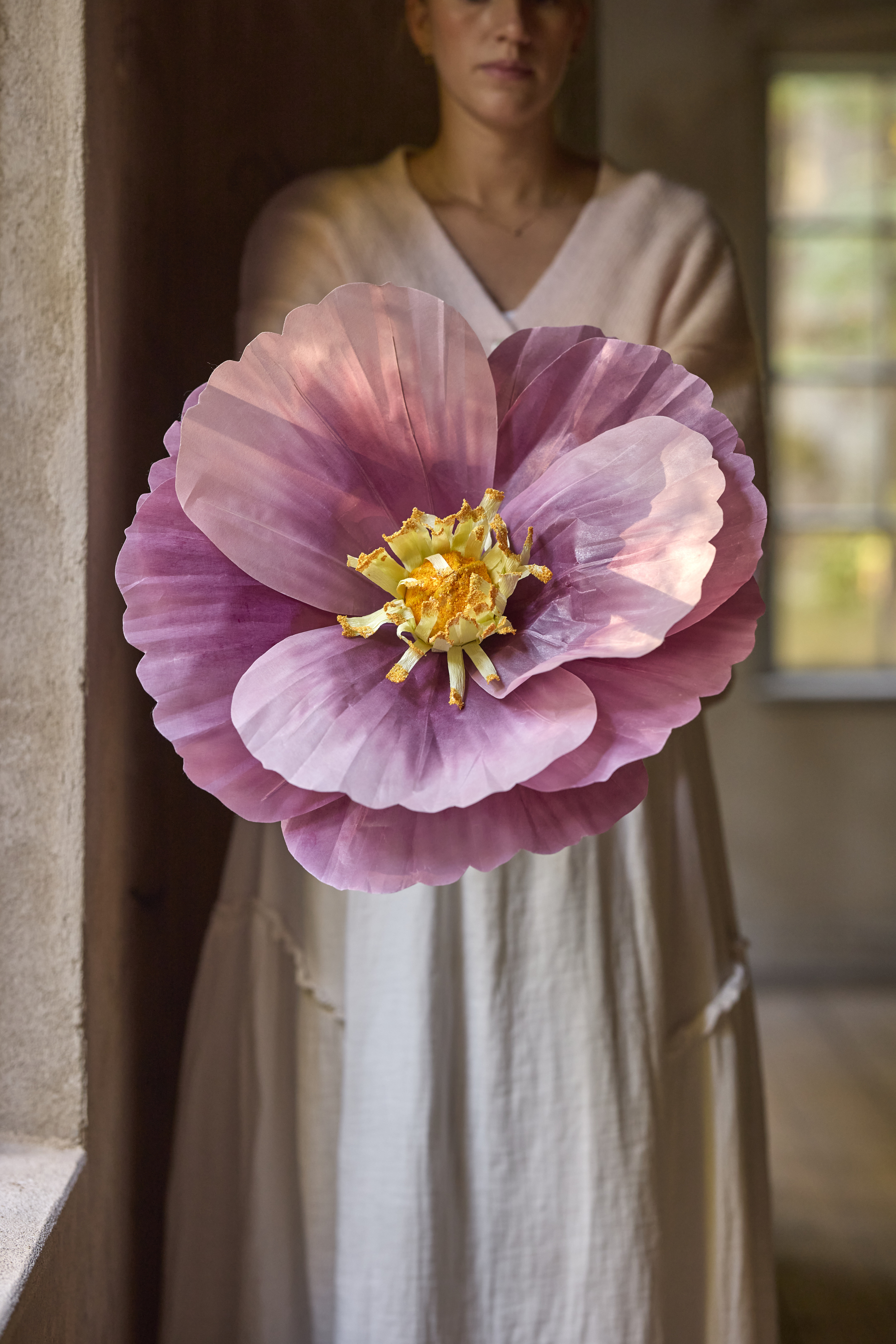 https://www.mrplantshopb2b.se/pub_docs/files/jatteblomma.jpg