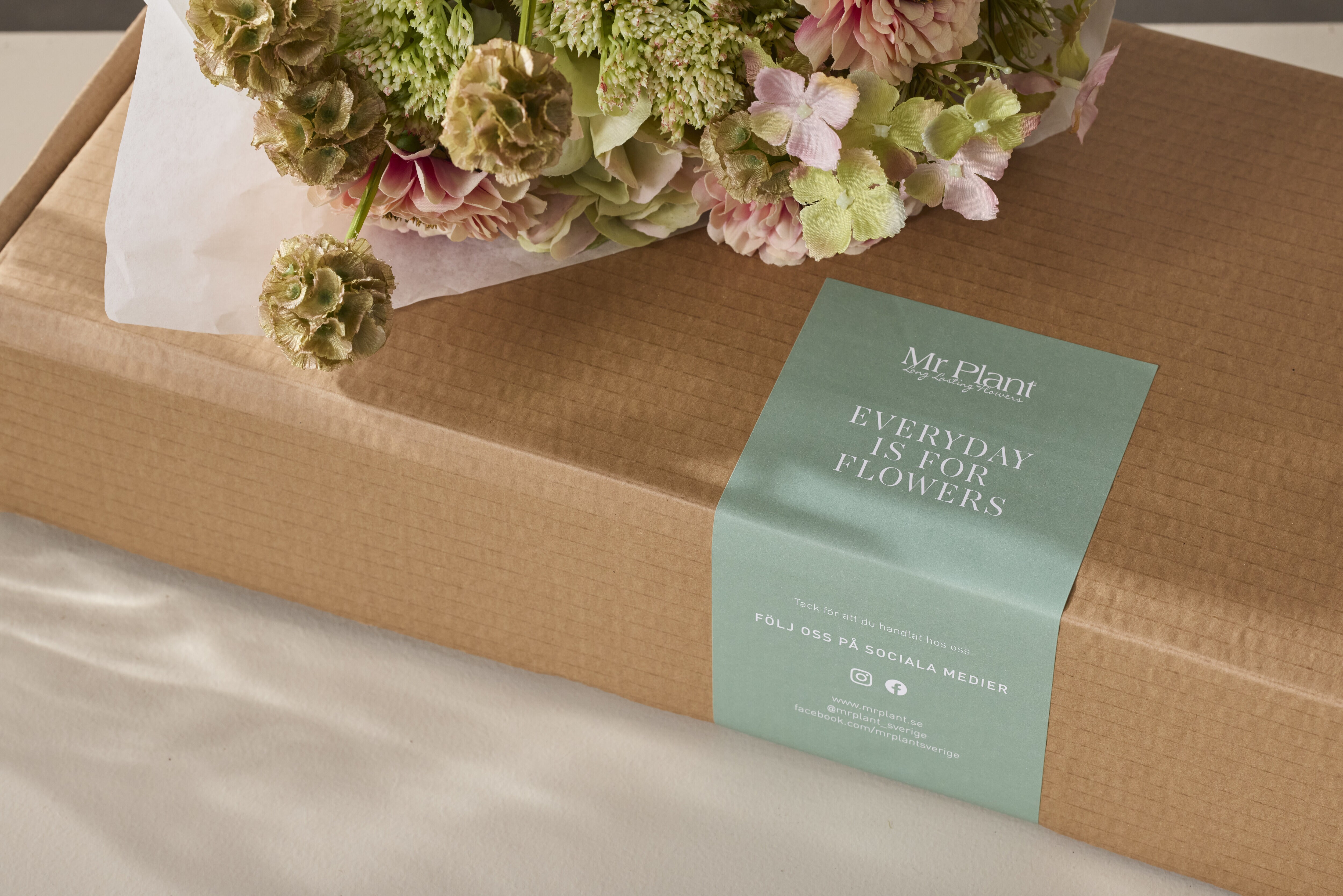 https://www.mrplantshopb2b.se/pub_docs/files/mfr_2142.jpg
