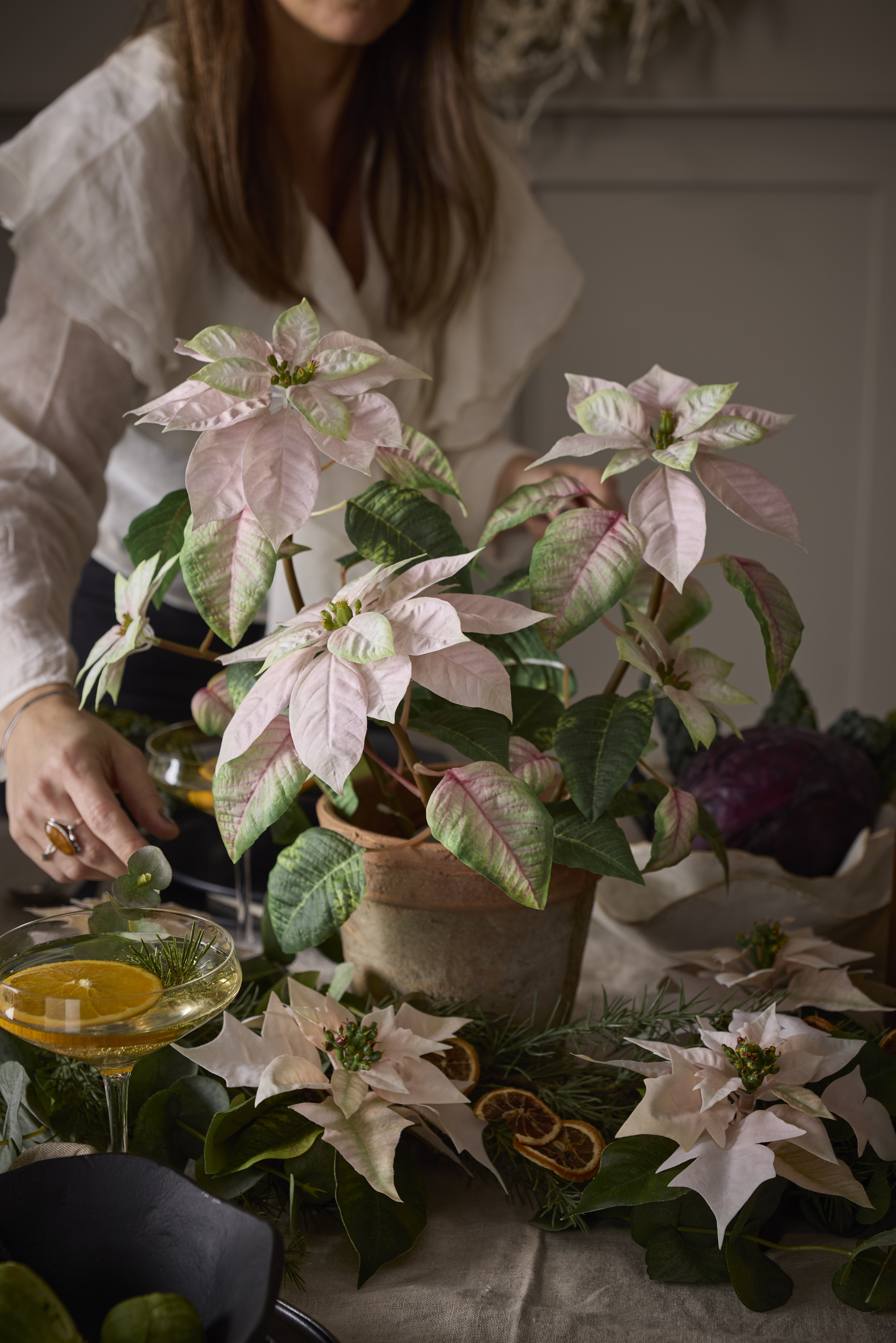 https://www.mrplantshopb2b.se/pub_docs/files/mfr_240408_0328-2.jpg