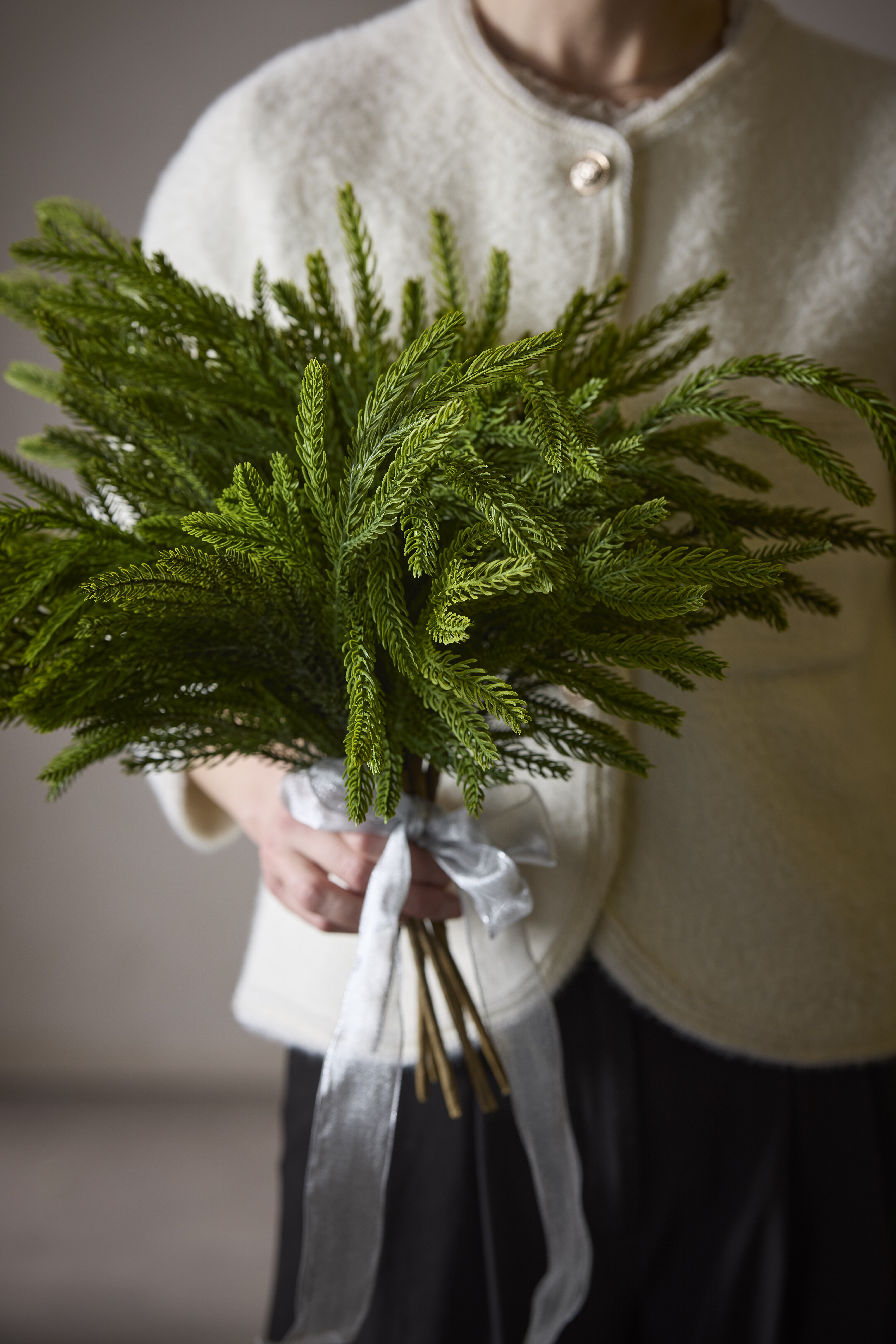 https://www.mrplantshopb2b.se/pub_docs/files/mfr_240410_1767.jpg