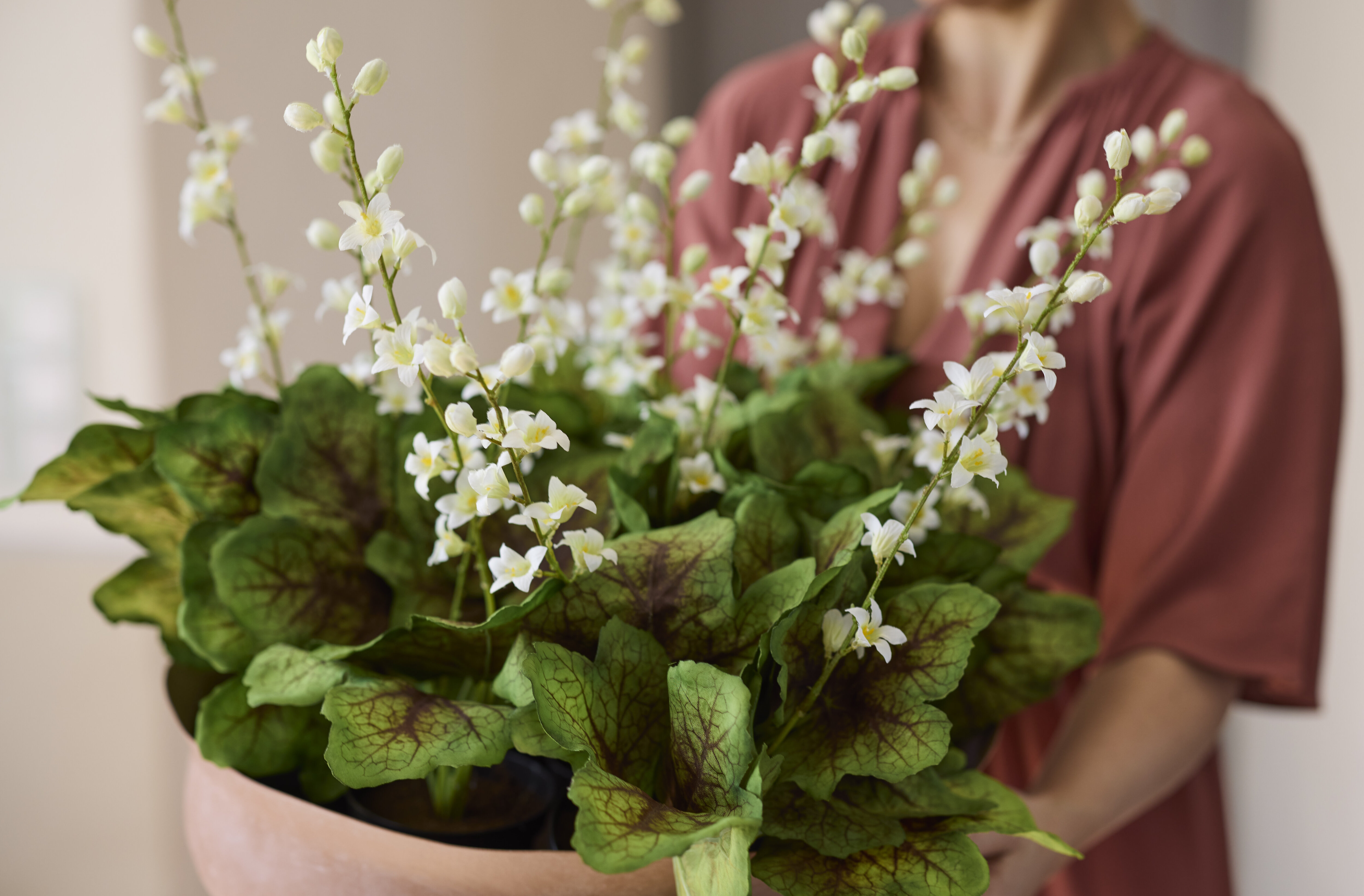https://www.mrplantshopb2b.se/pub_docs/files/mfr_240415_4542-(kopia).jpg