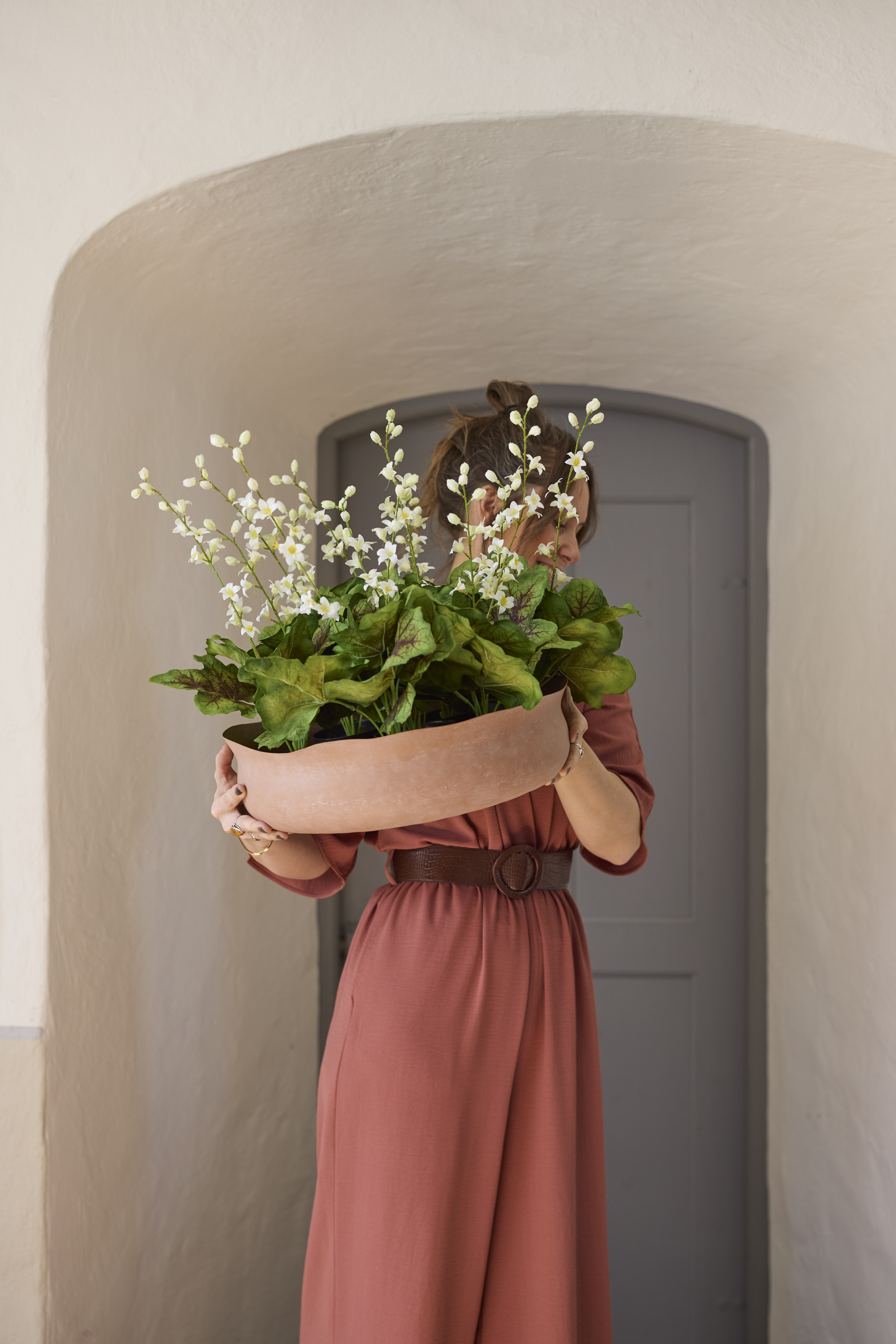 https://www.mrplantshopb2b.se/pub_docs/files/mfr_240415_4585.jpg