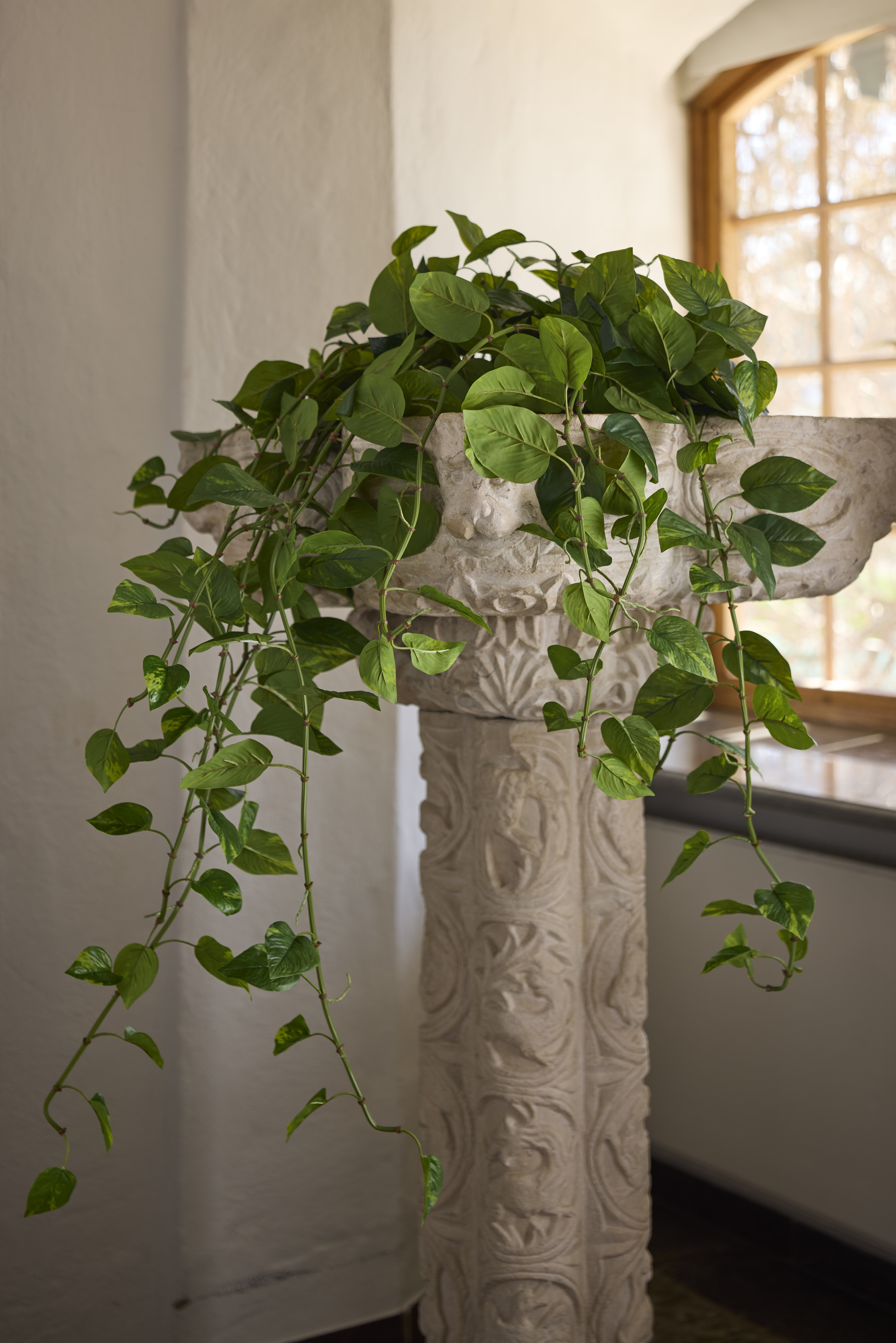 https://www.mrplantshopb2b.se/pub_docs/files/mfr_240416_5247.jpg