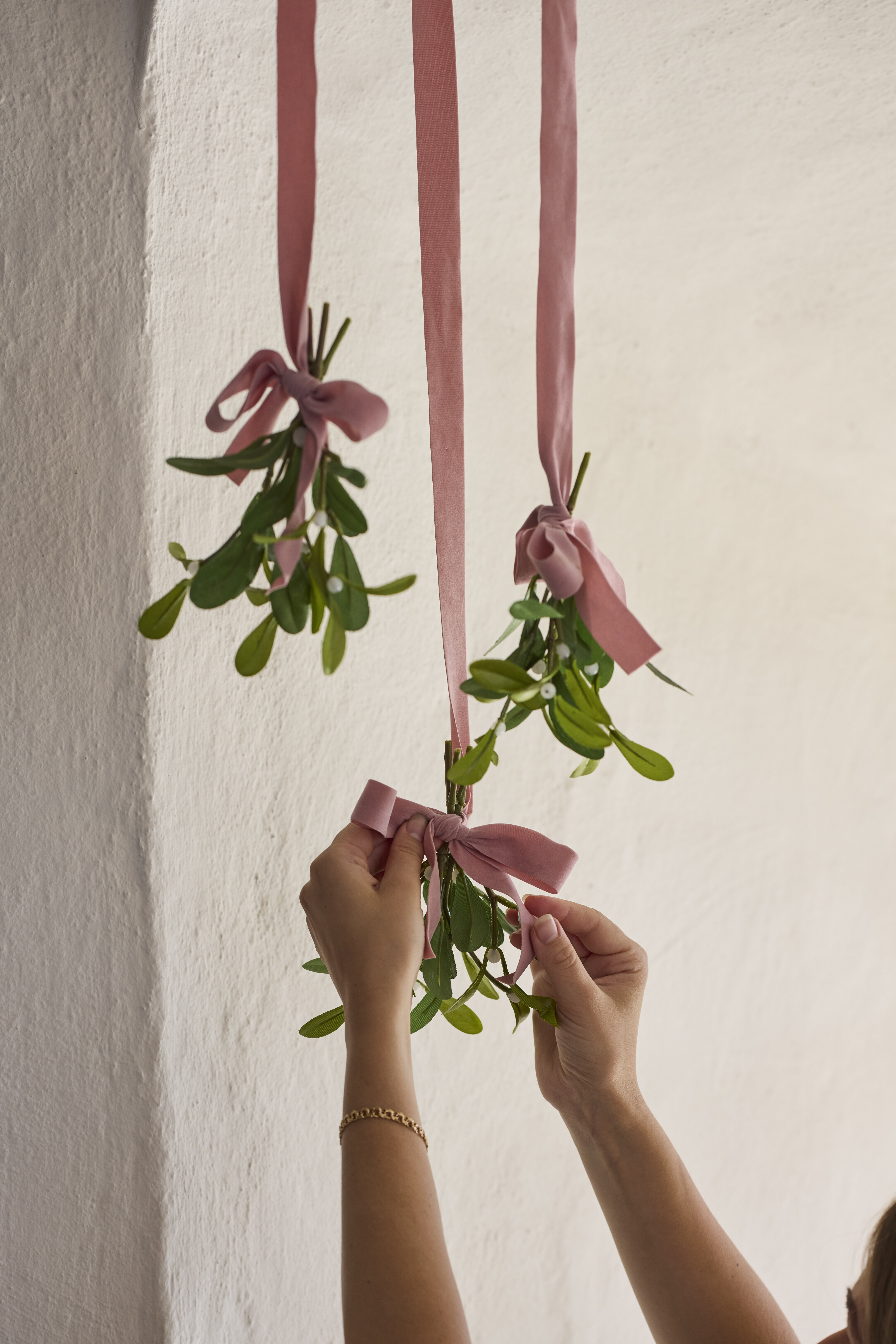 https://www.mrplantshopb2b.se/pub_docs/files/mfr_240416_5263-2.jpg