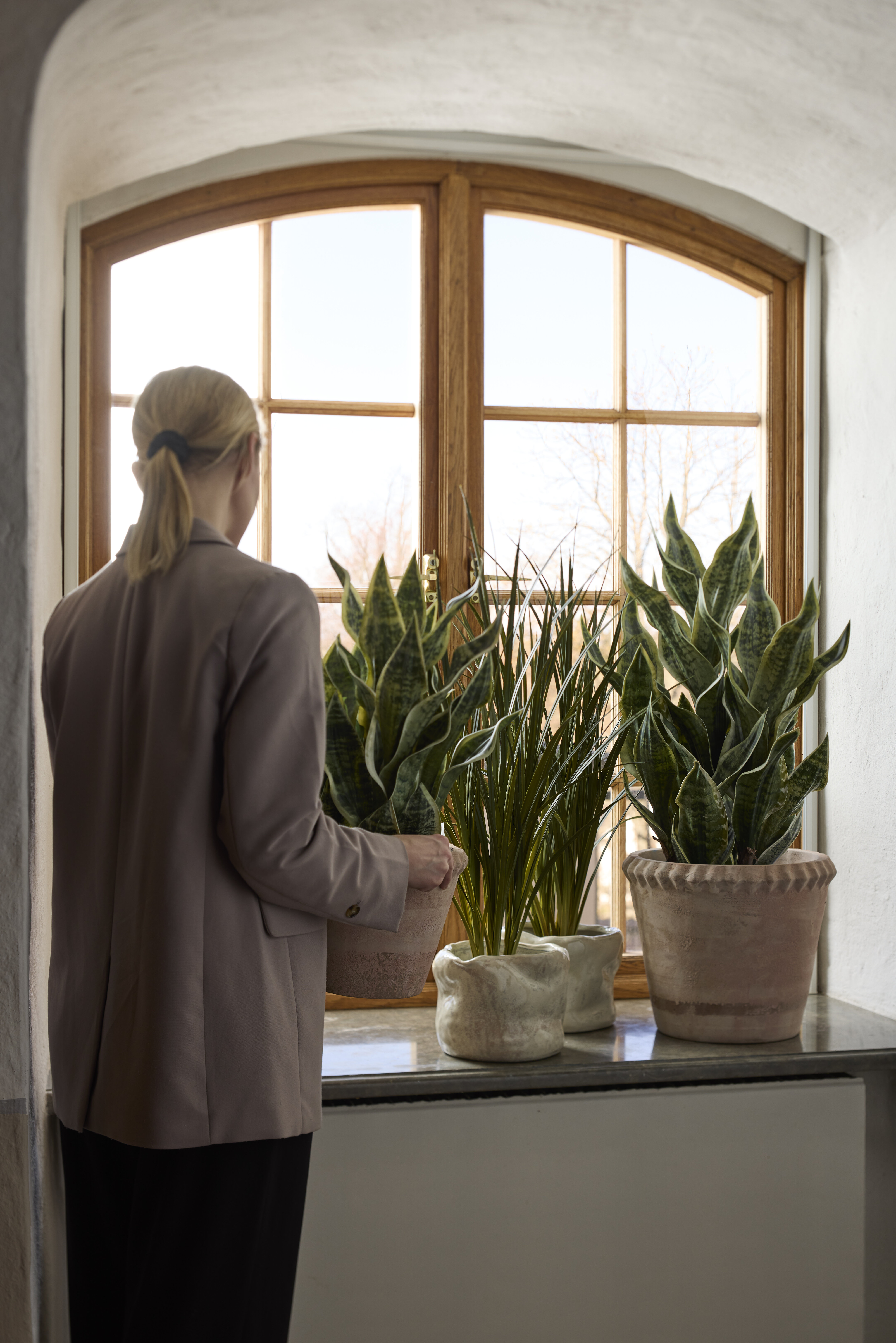 https://www.mrplantshopb2b.se/pub_docs/files/mfr_240416_5325.jpg