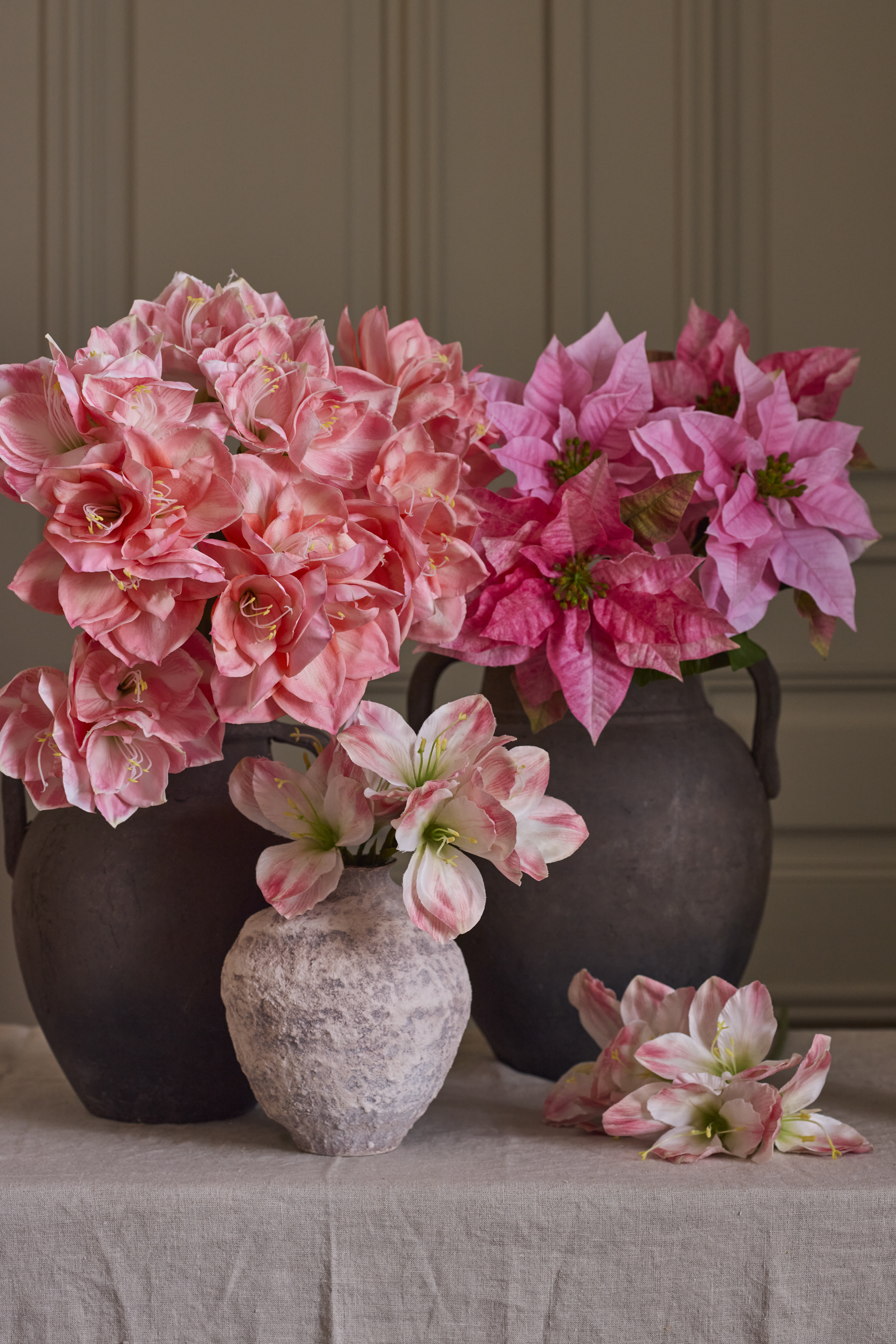https://www.mrplantshopb2b.se/pub_docs/files/mfr_240416_5582.jpg