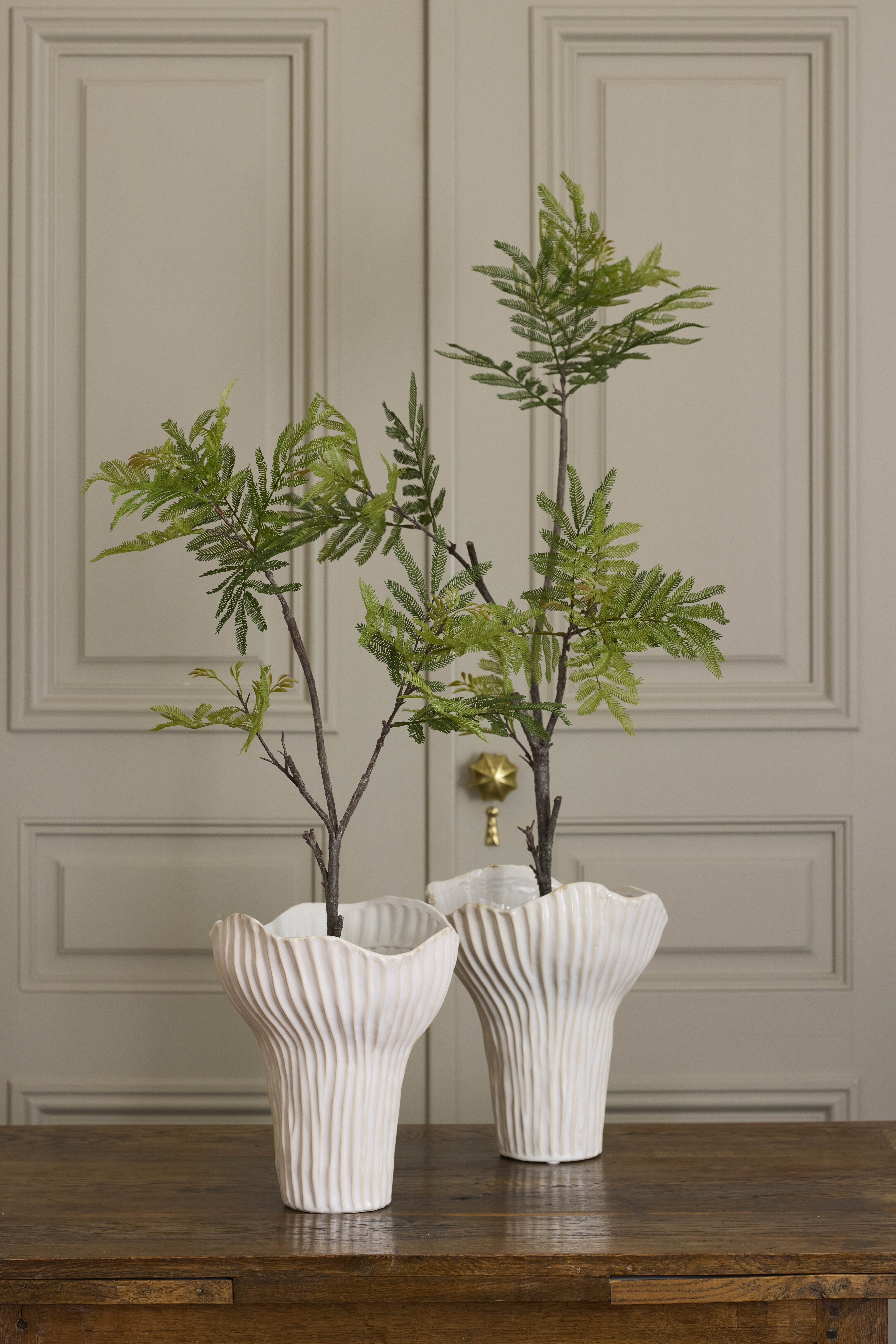 https://www.mrplantshopb2b.se/pub_docs/files/mfr_240416_5768.jpg