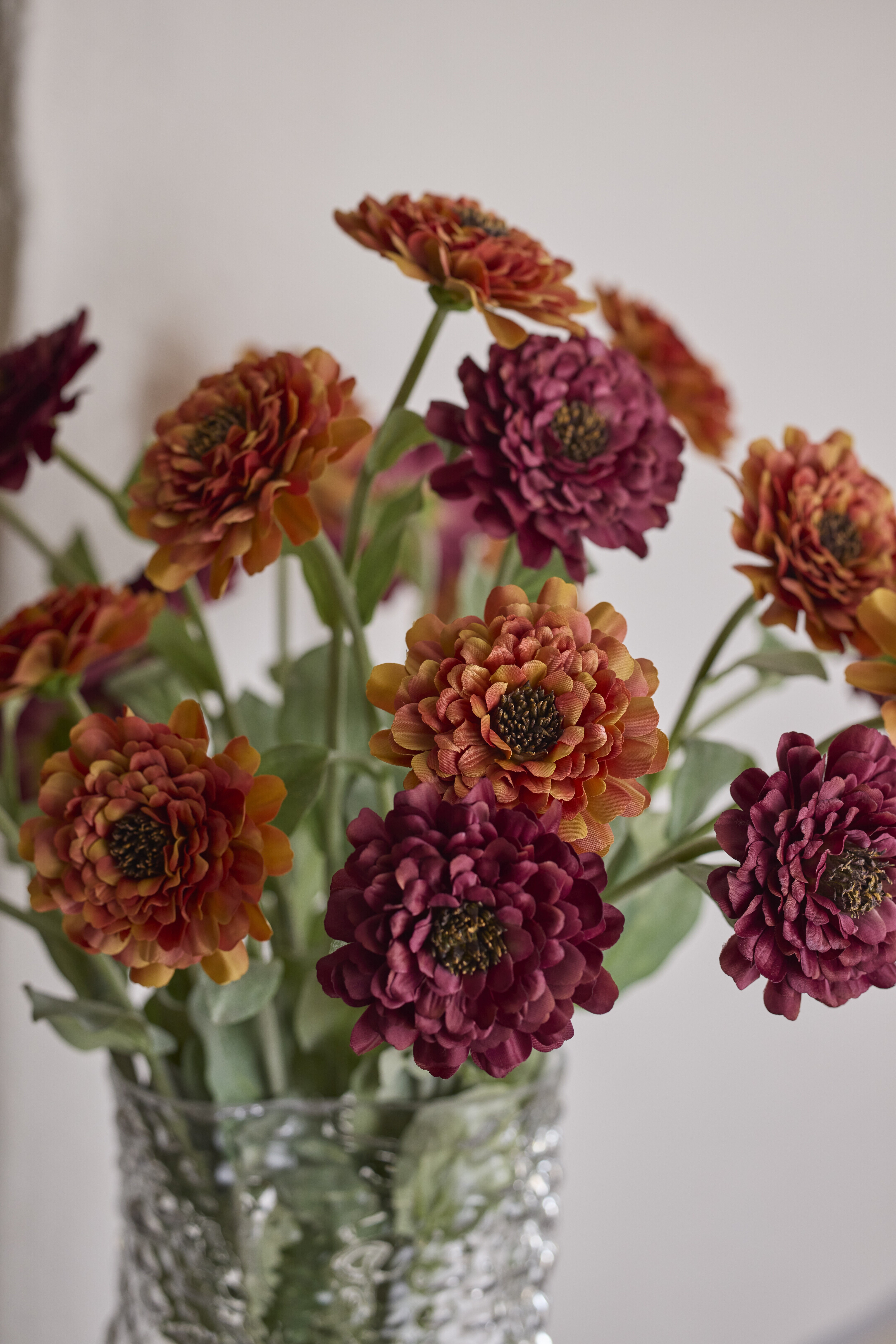 https://www.mrplantshopb2b.se/pub_docs/files/mfr_240418_6747.jpg