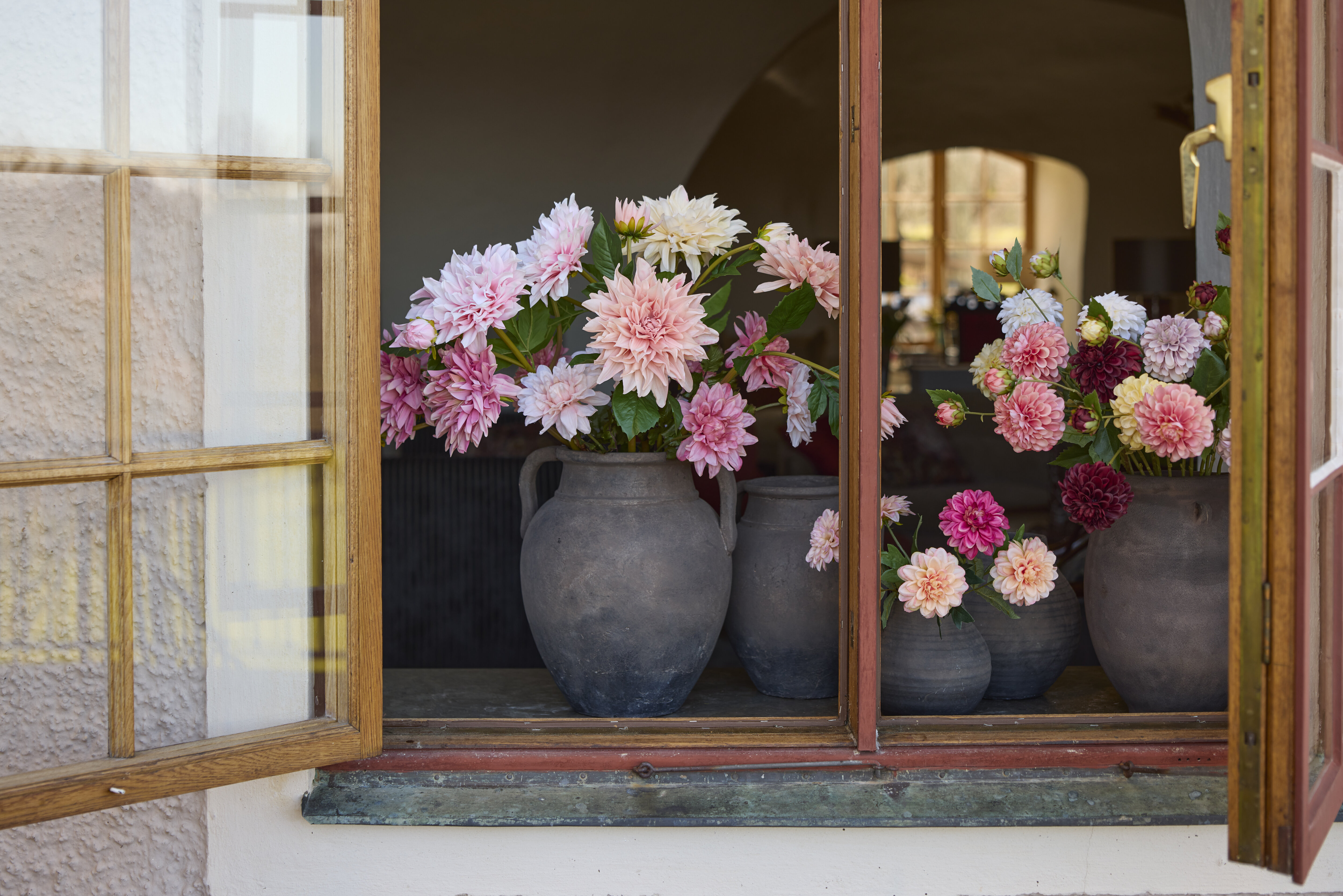 https://www.mrplantshopb2b.se/pub_docs/files/mfr_240418_6852.jpg
