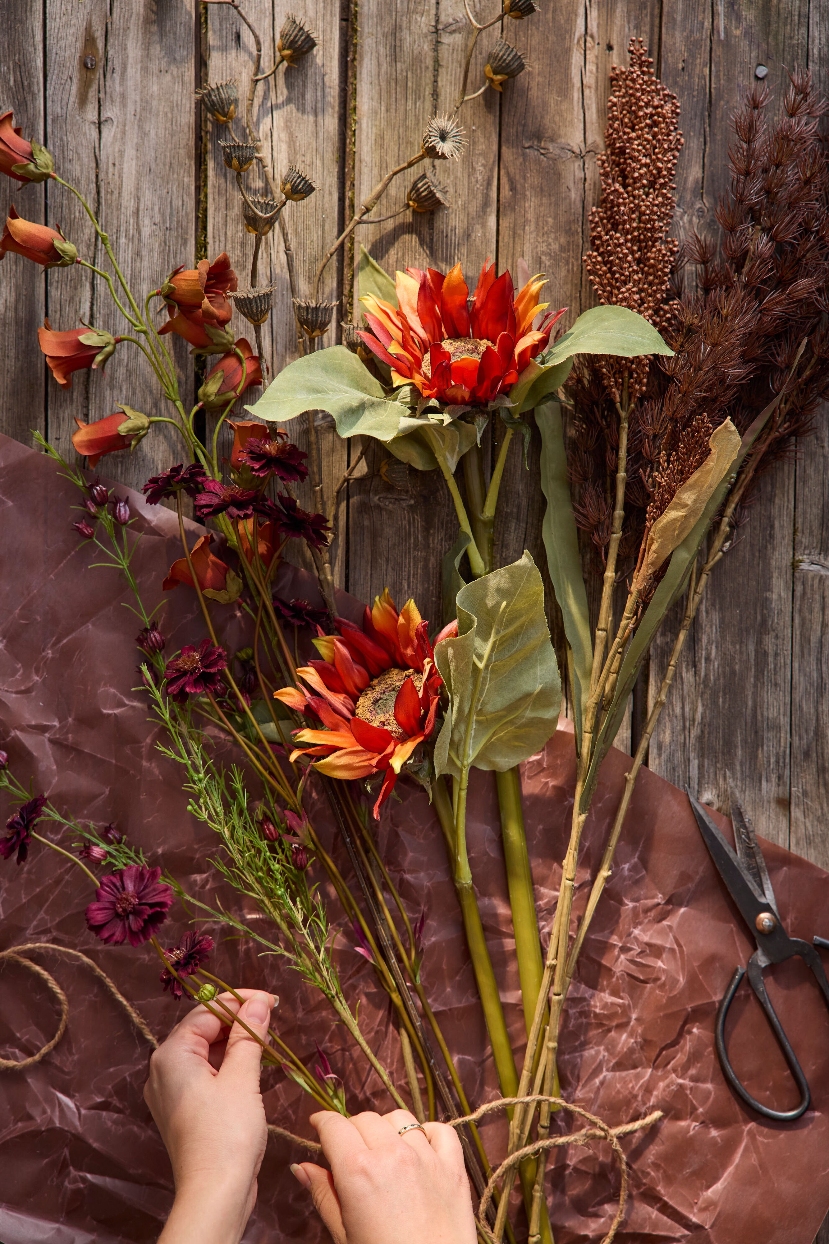 https://www.mrplantshopb2b.se/pub_docs/files/mfr_250401-0989.jpg
