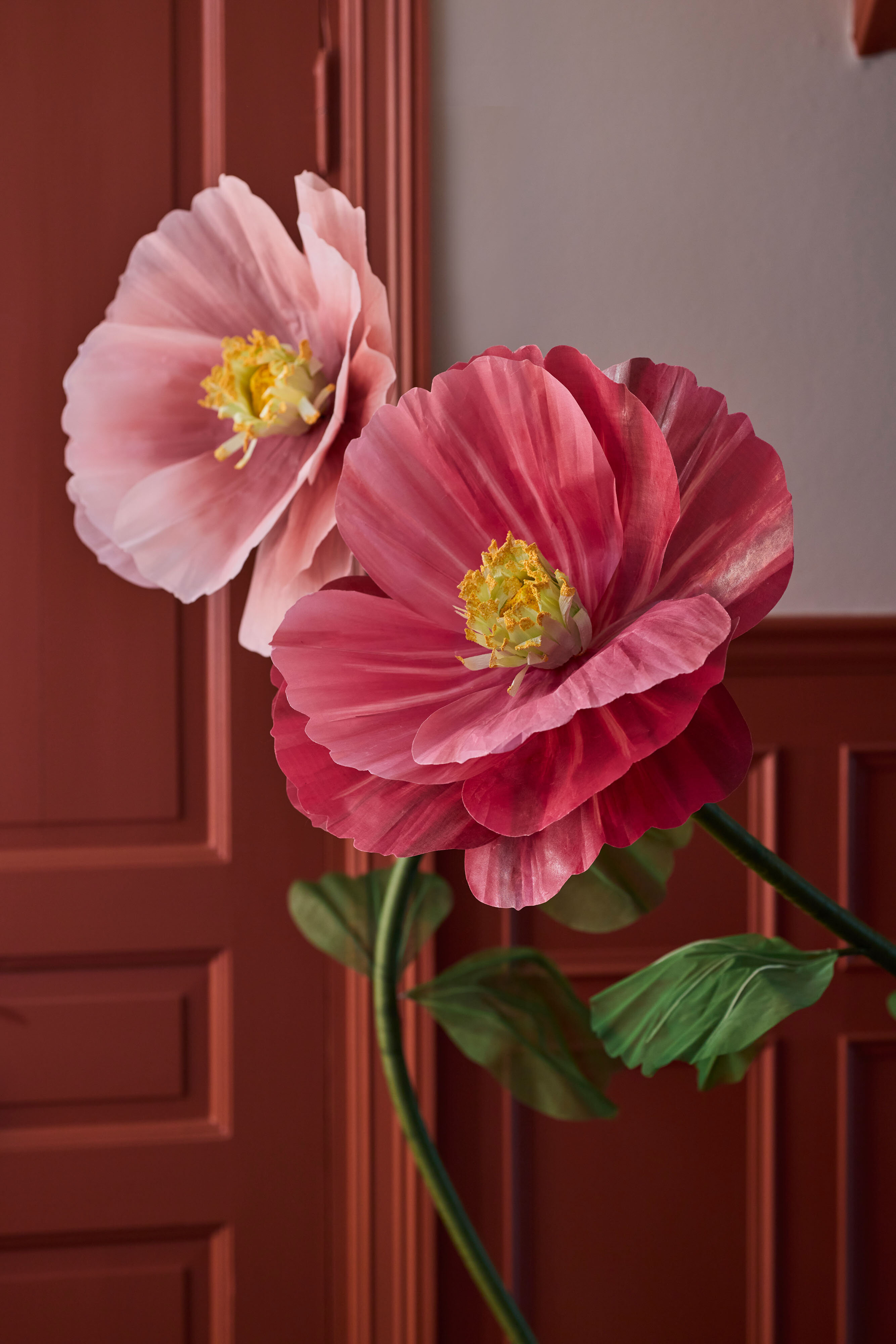https://www.mrplantshopb2b.se/pub_docs/files/mfr_250408-0240.jpg