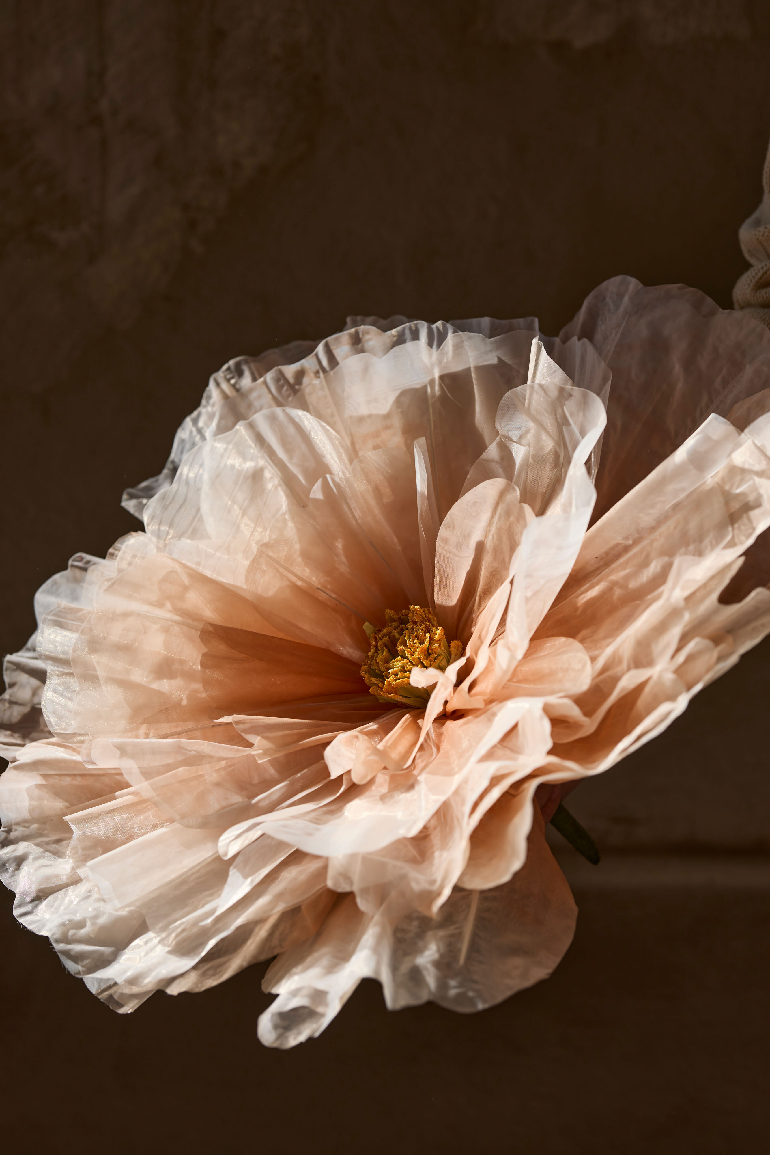 https://www.mrplantshopb2b.se/pub_docs/files/mfr_250409-1401.jpg