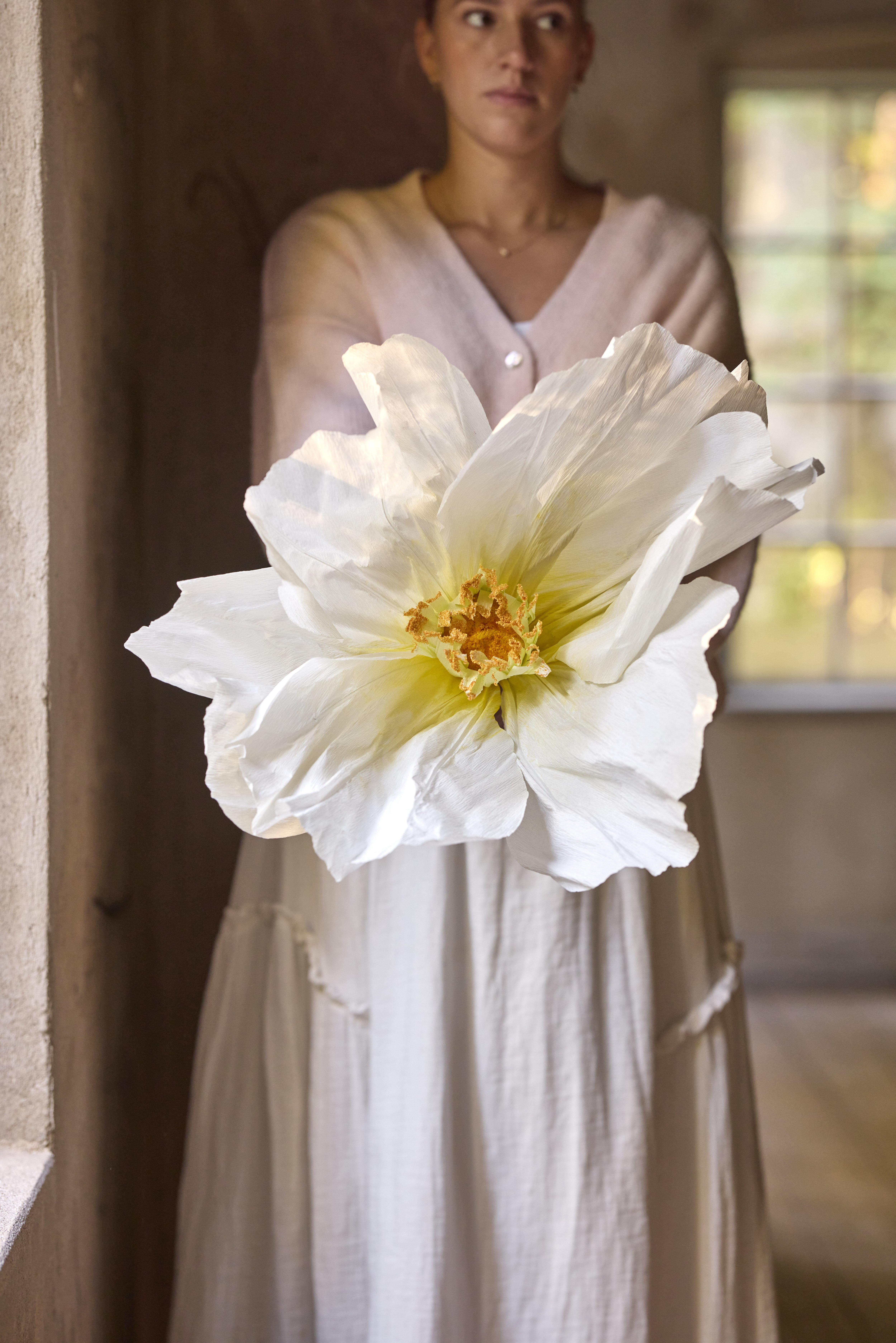https://www.mrplantshopb2b.se/pub_docs/files/mfr_251001-0959.jpg