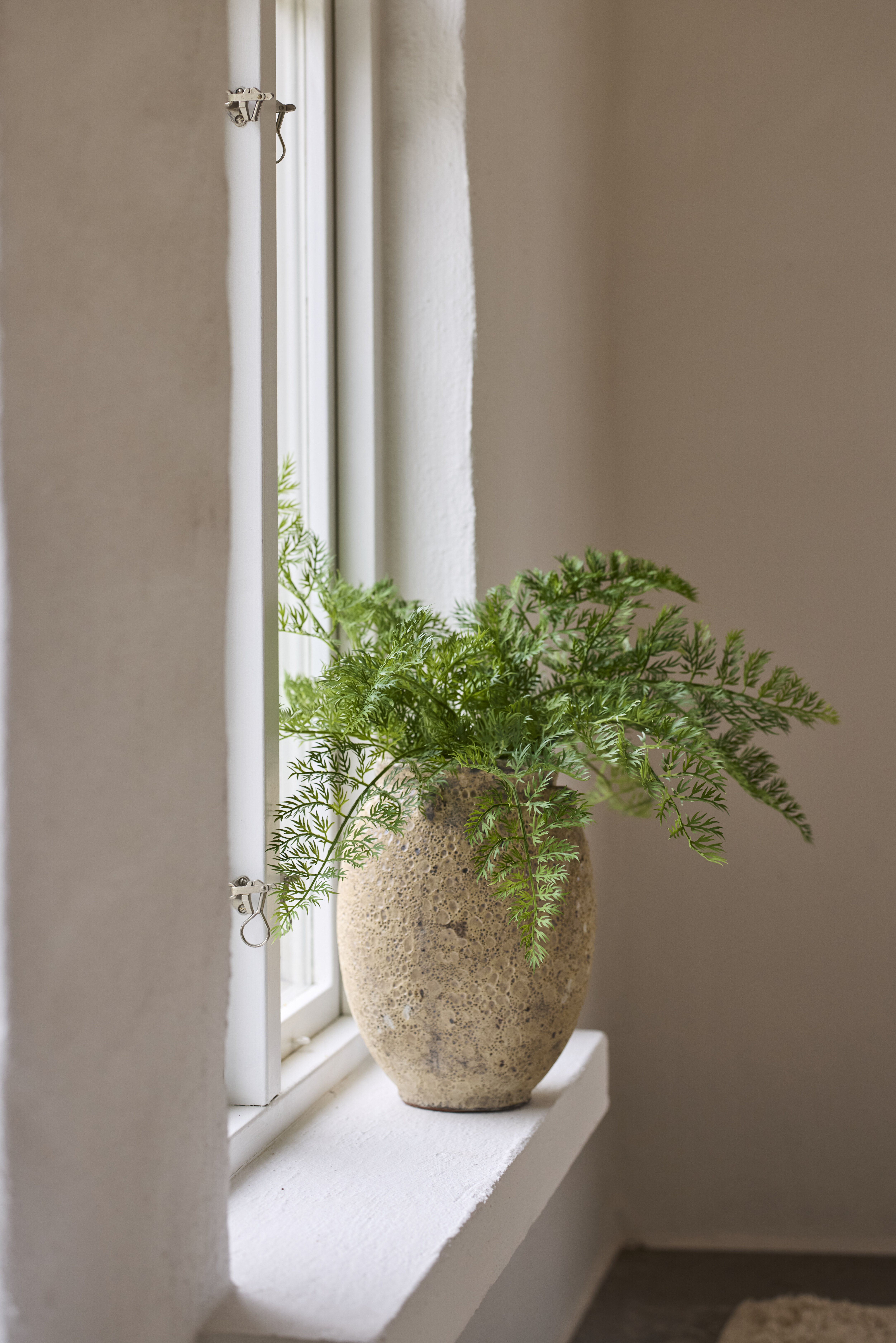 https://www.mrplantshopb2b.se/pub_docs/files/mfr_251007-0525.jpg