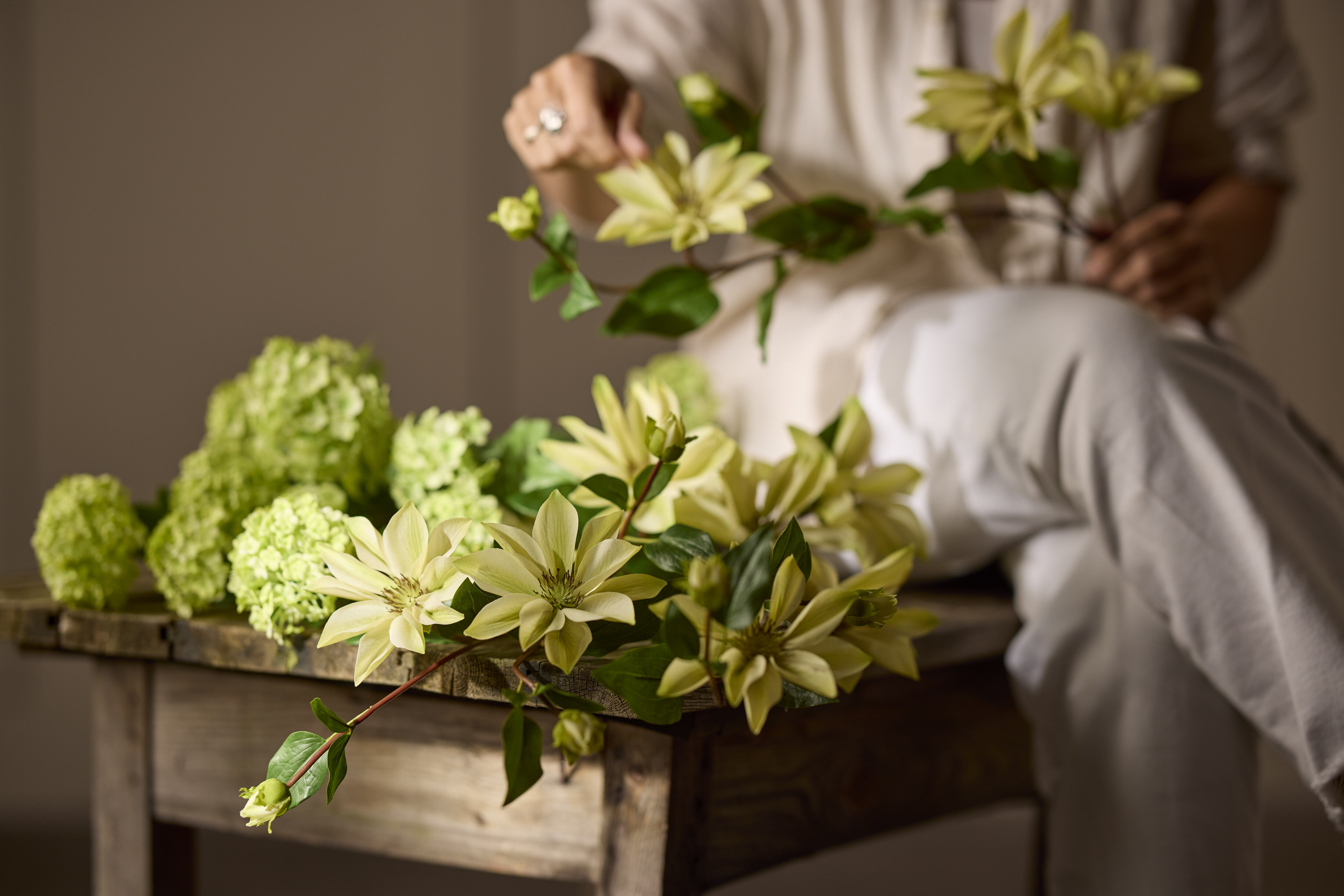 https://www.mrplantshopb2b.se/pub_docs/files/mfr_3102.jpg