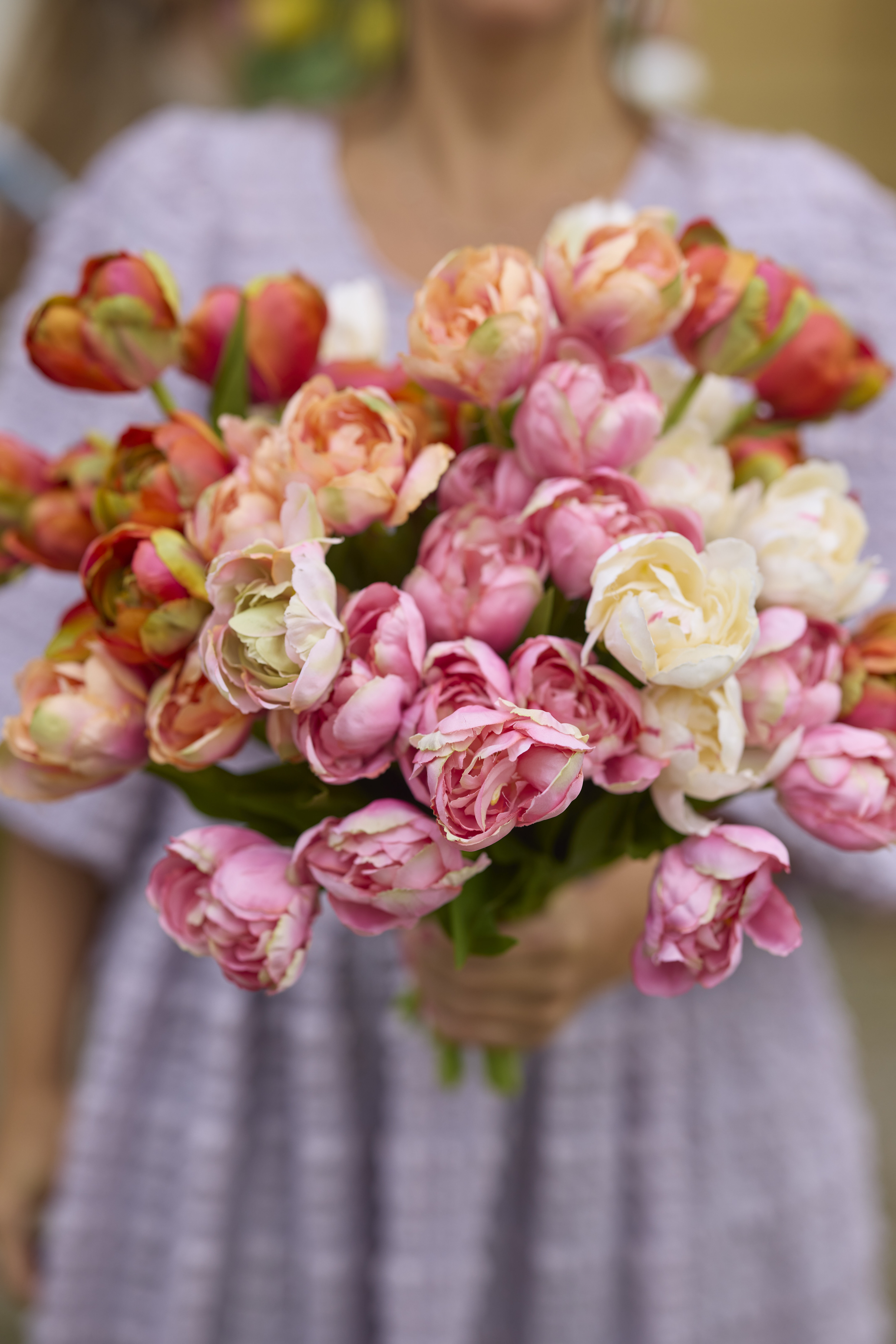 https://www.mrplantshopb2b.se/pub_docs/files/mfr_5424.jpg