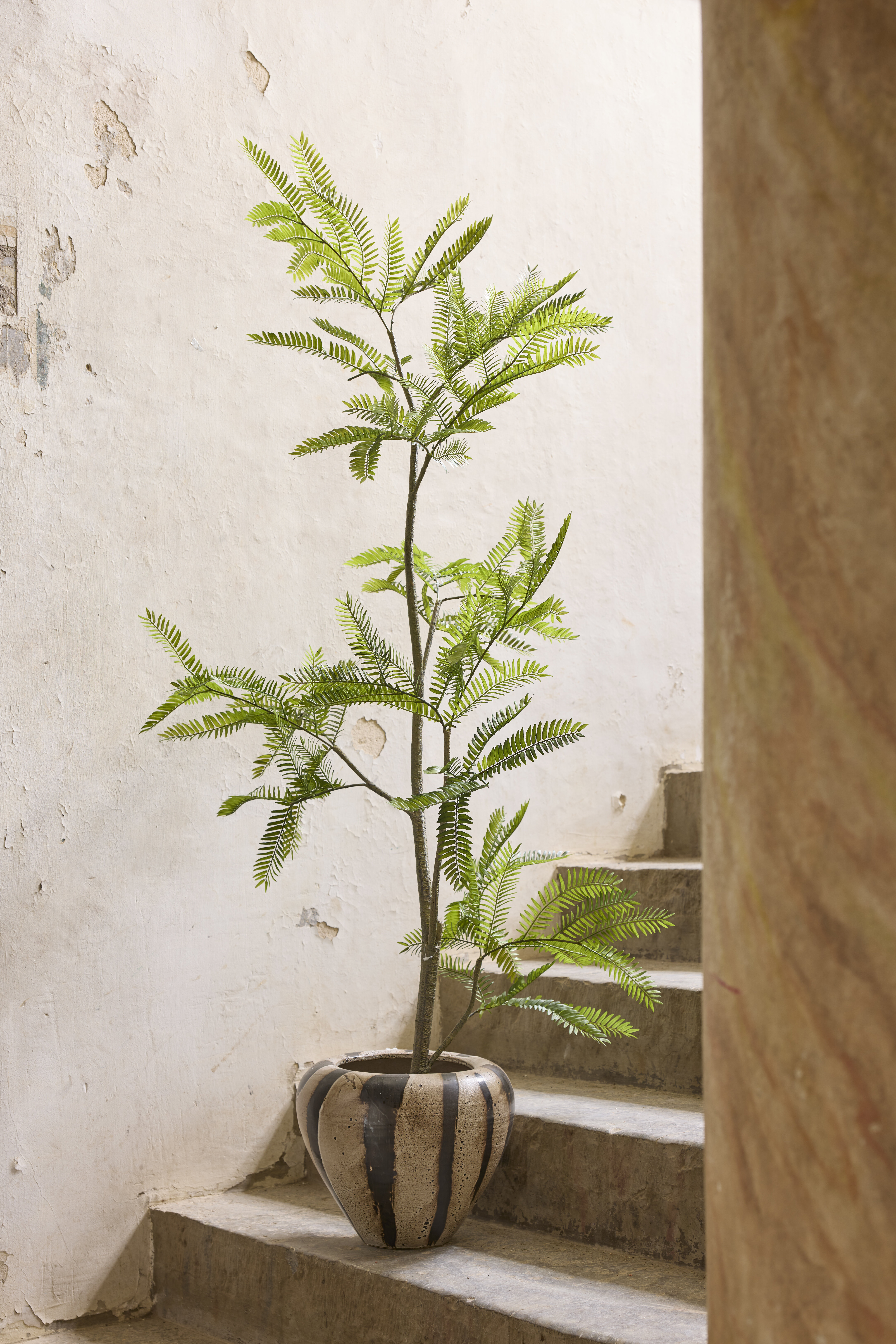 https://www.mrplantshopb2b.se/pub_docs/files/mfr_5805.jpg