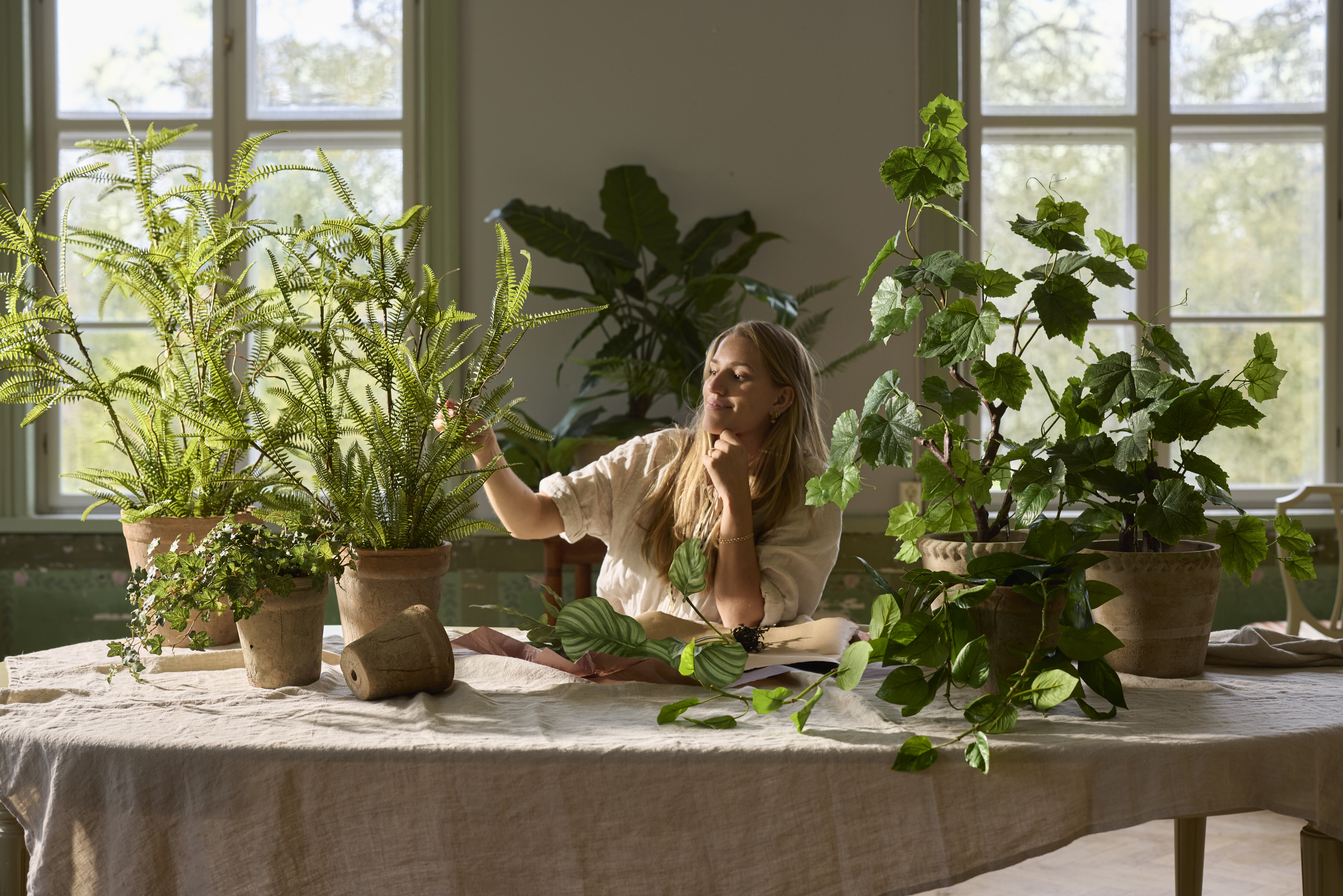 https://www.mrplantshopb2b.se/pub_docs/files/mfr_6027.jpg