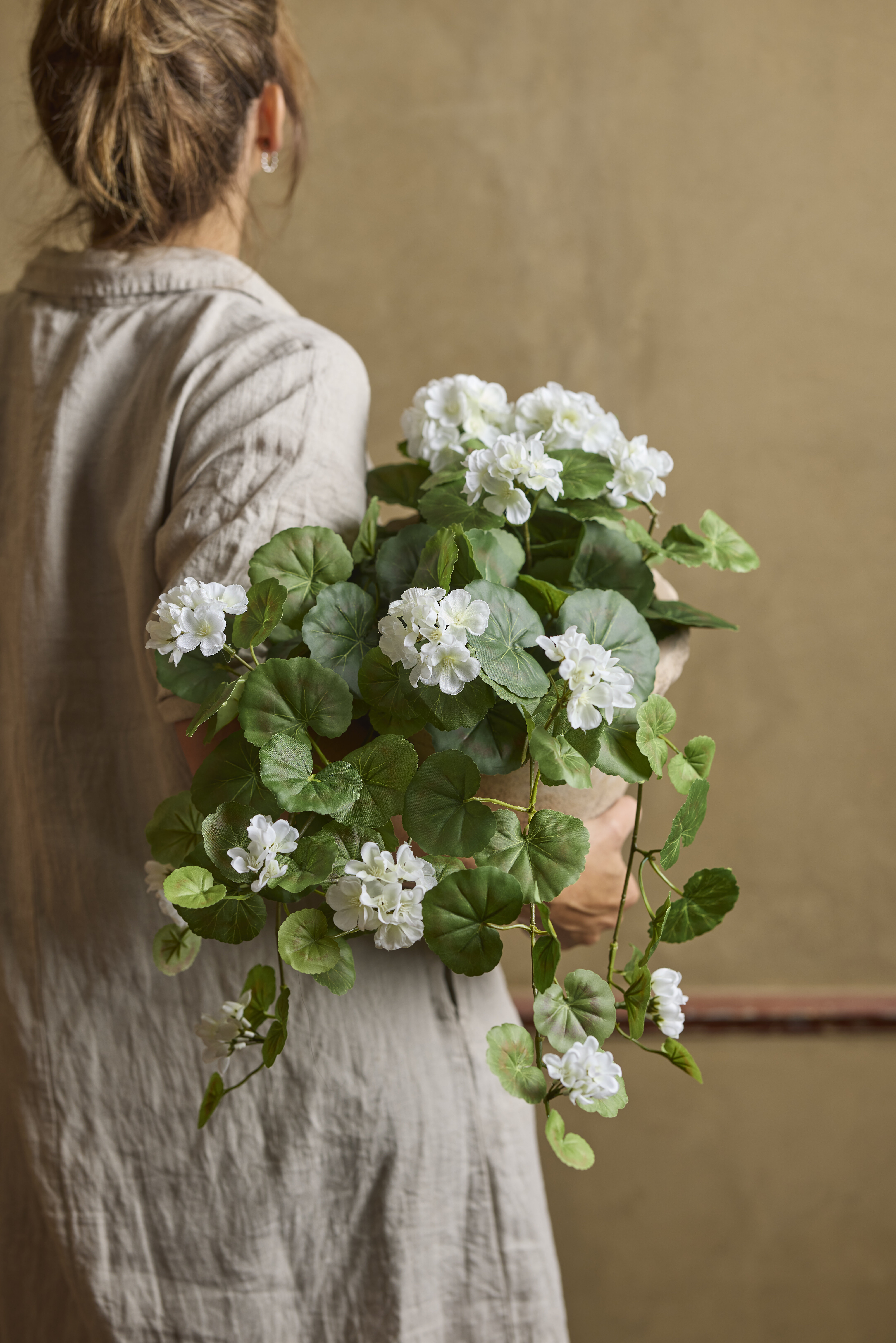 Blommande Krukväxter 