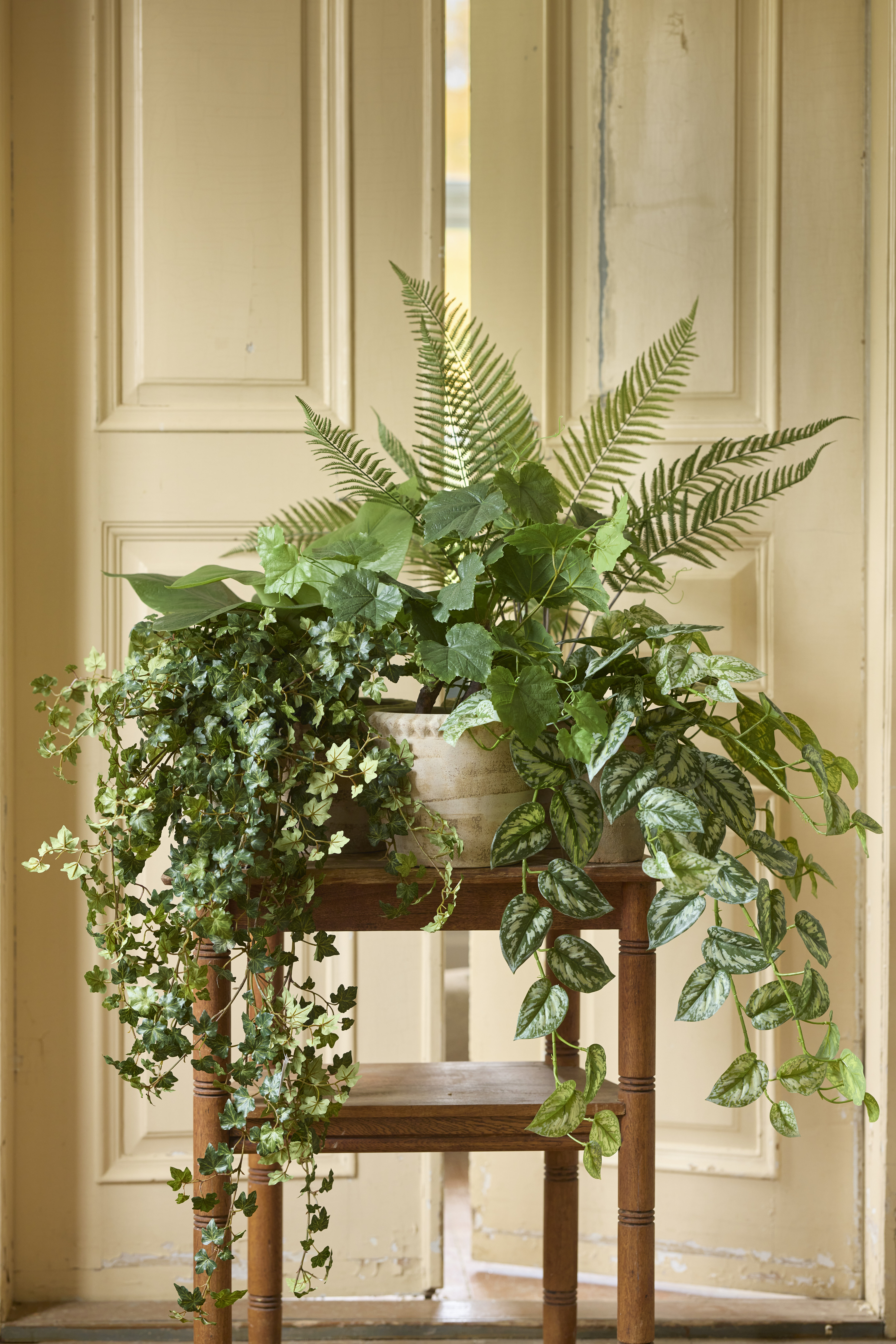 https://www.mrplantshopb2b.se/pub_docs/files/mfr_7149.jpg