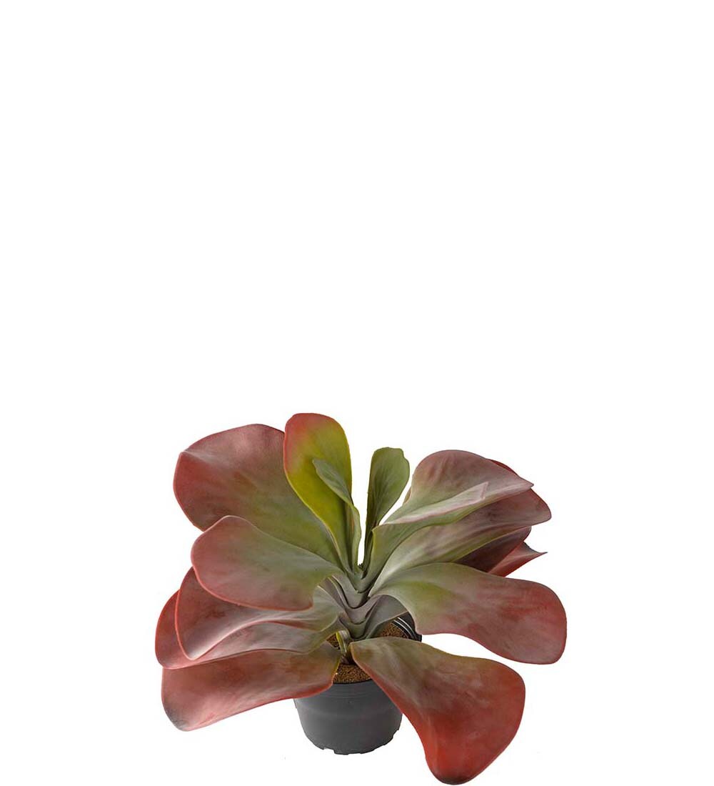 Konstgjord burgundy Kalanchoe 25cm