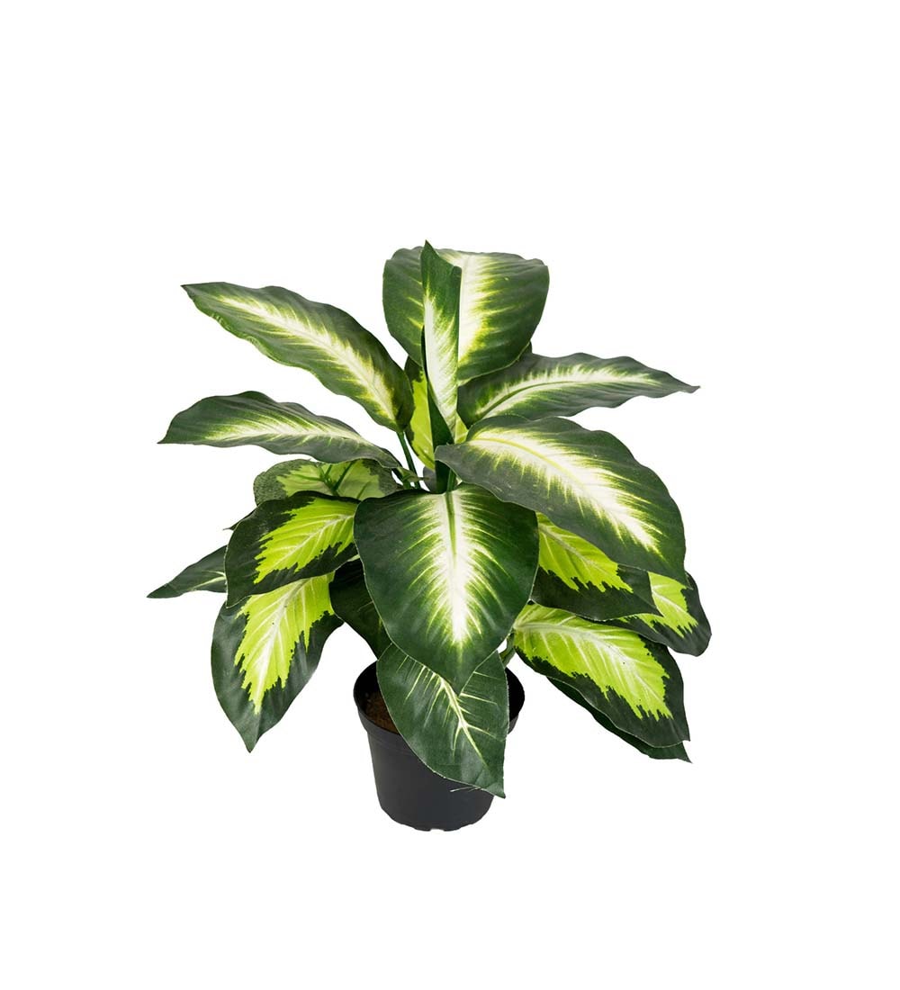 Prickblad