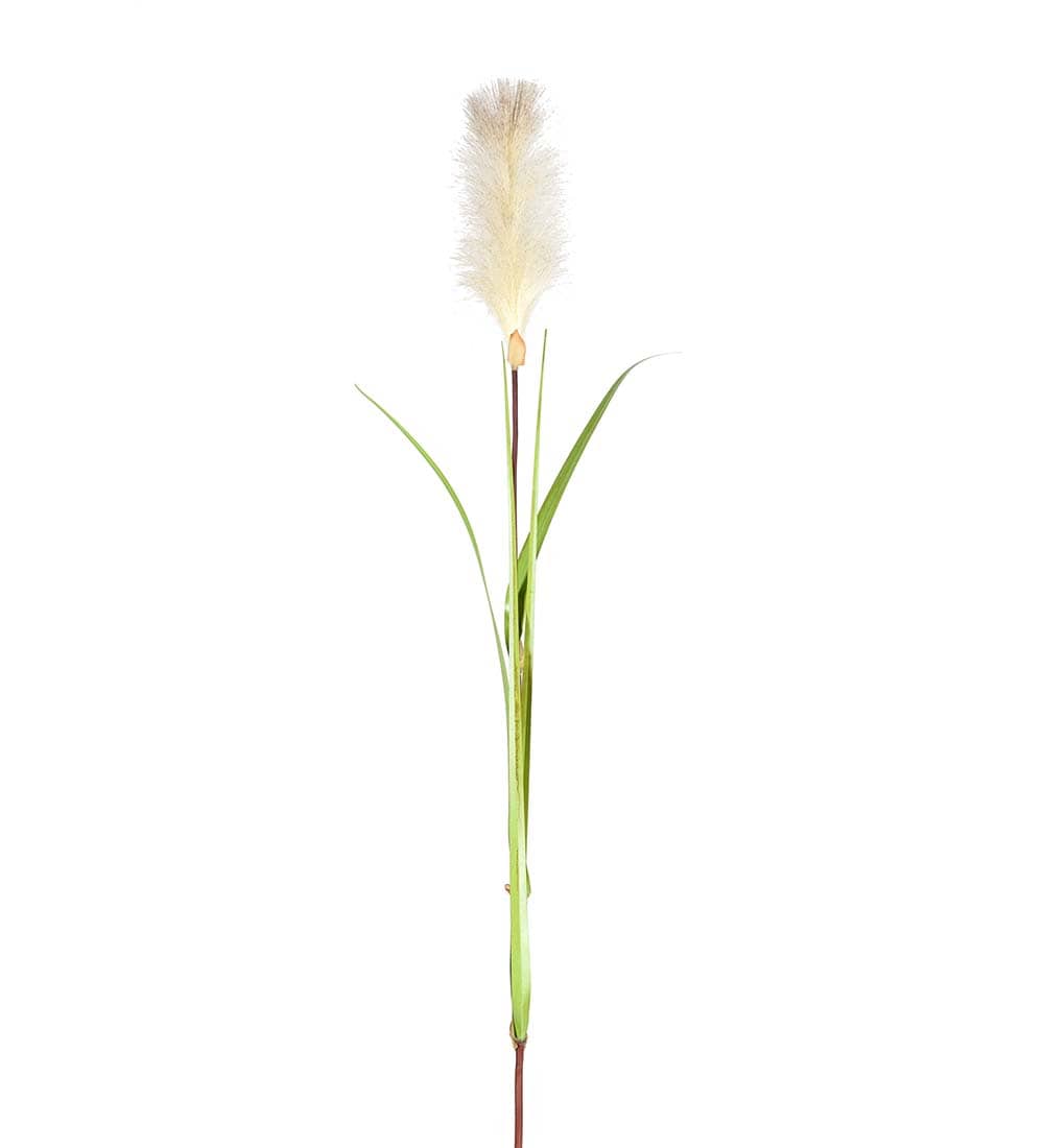 Gräs