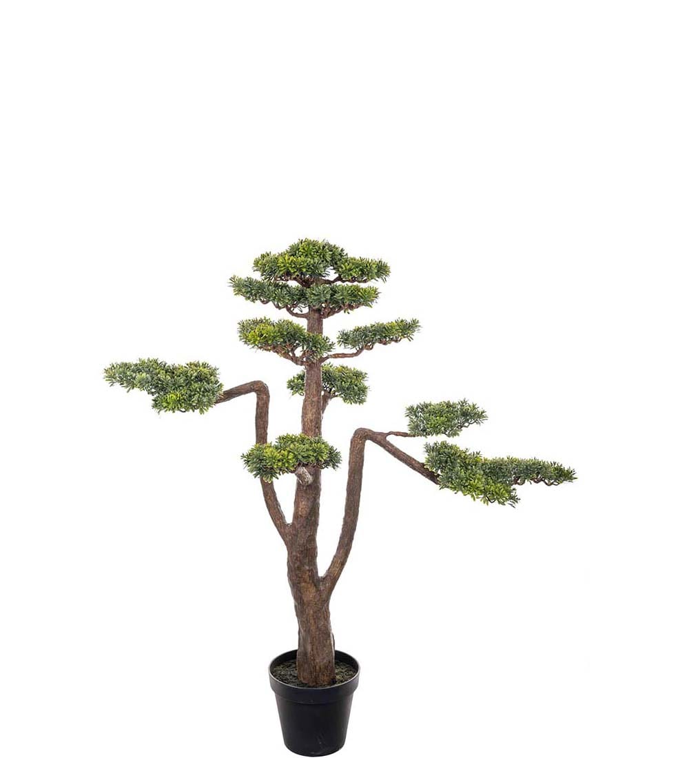 Bonsai