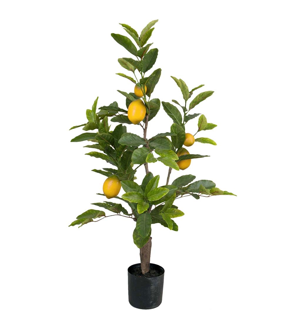 Citron