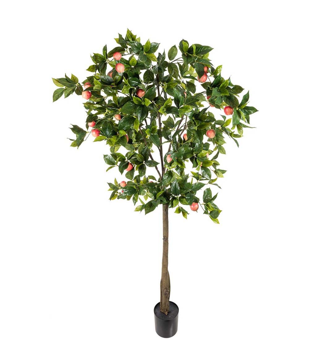 Äppleträd