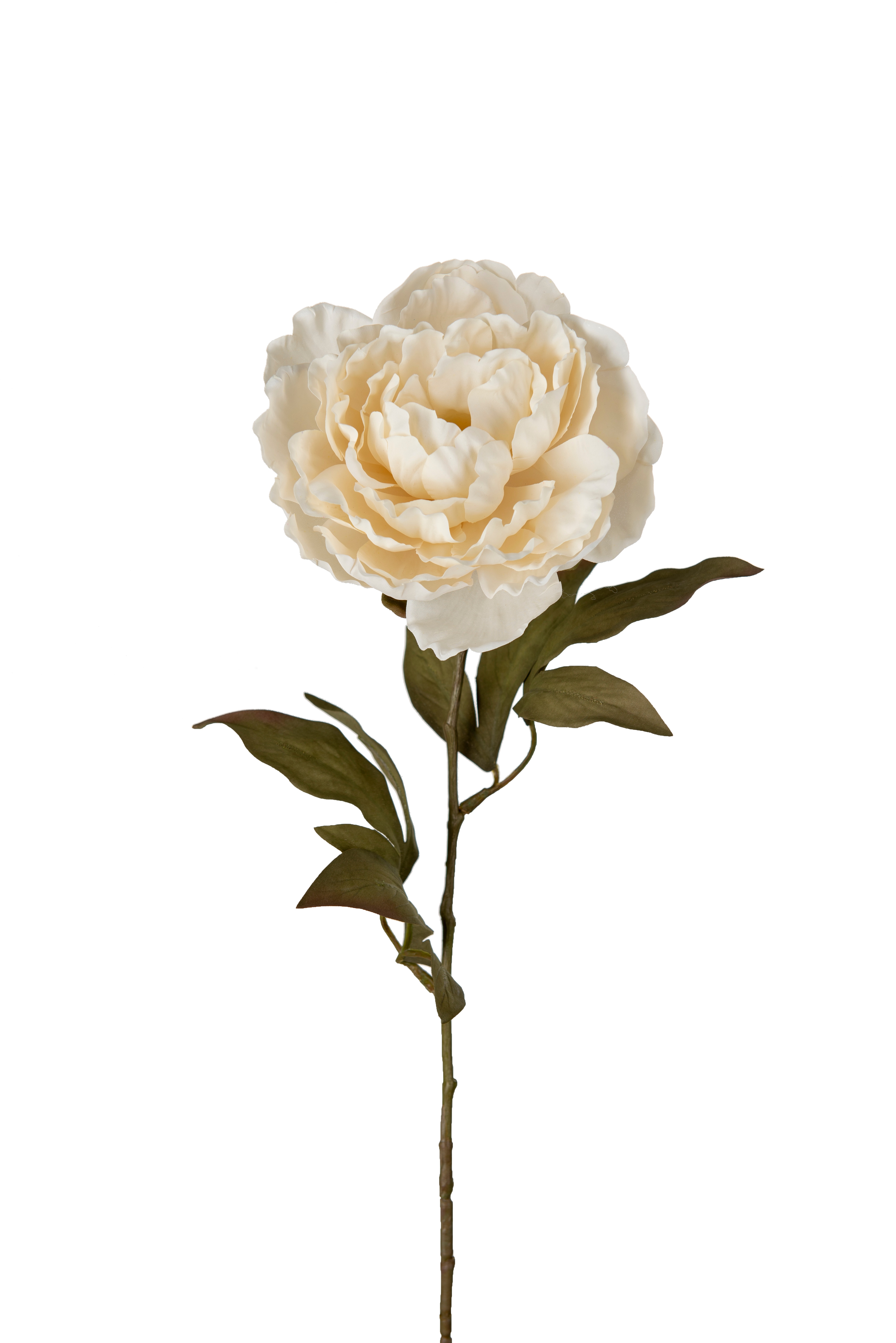 Pion