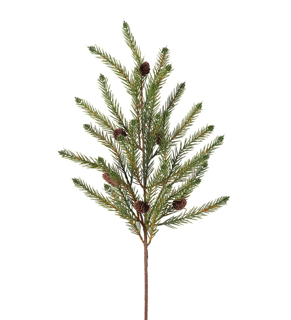 Grankvist med kottar