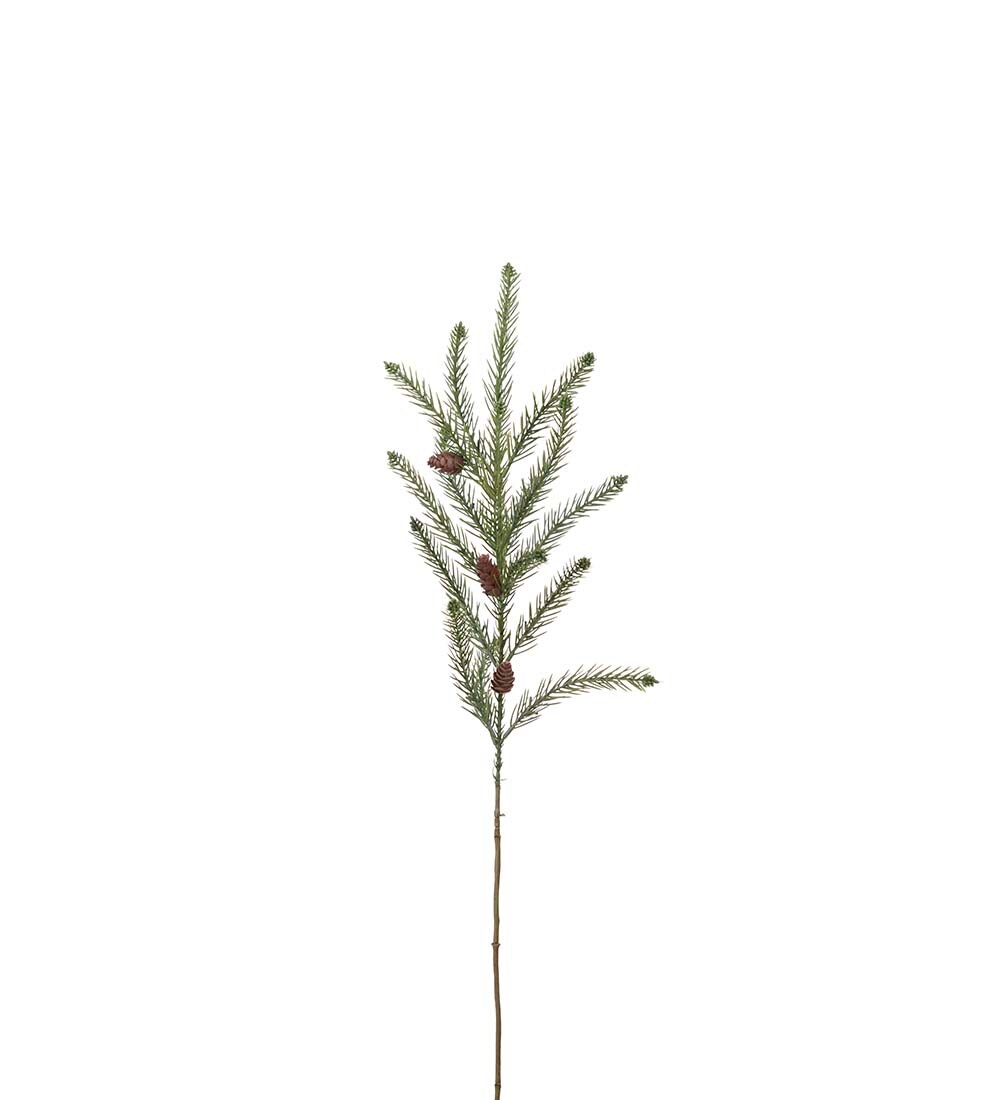 Grankvist med kottar