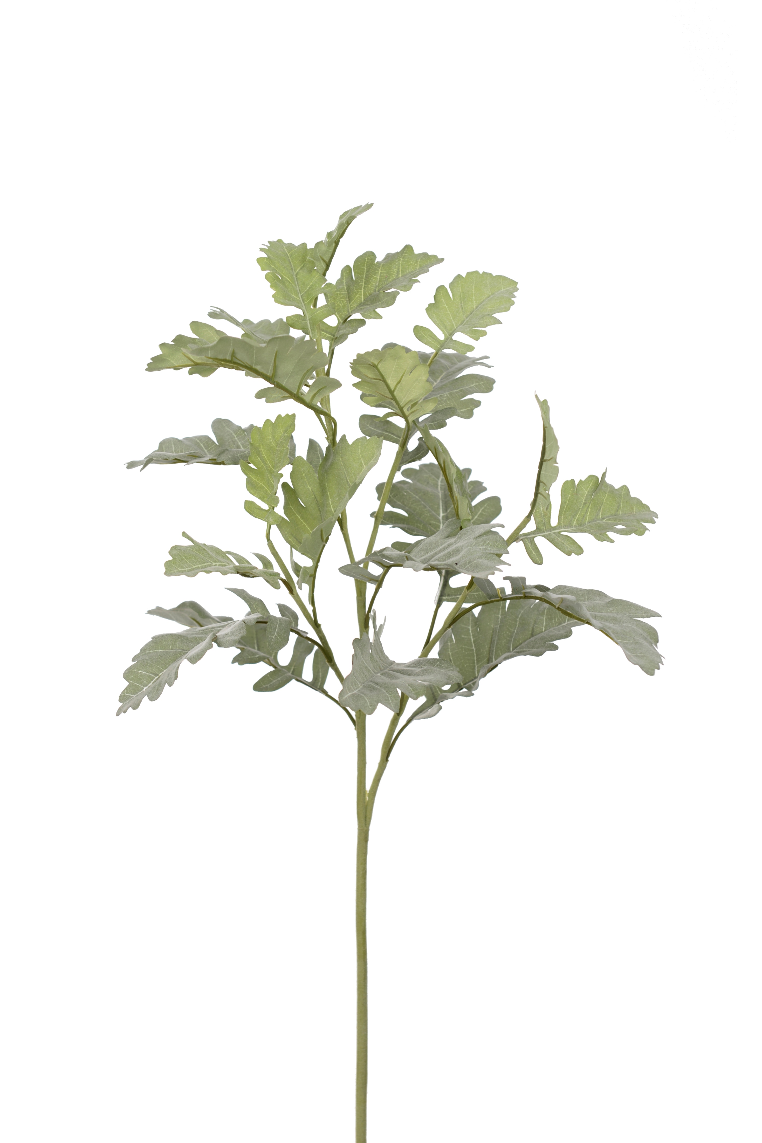 Silverek