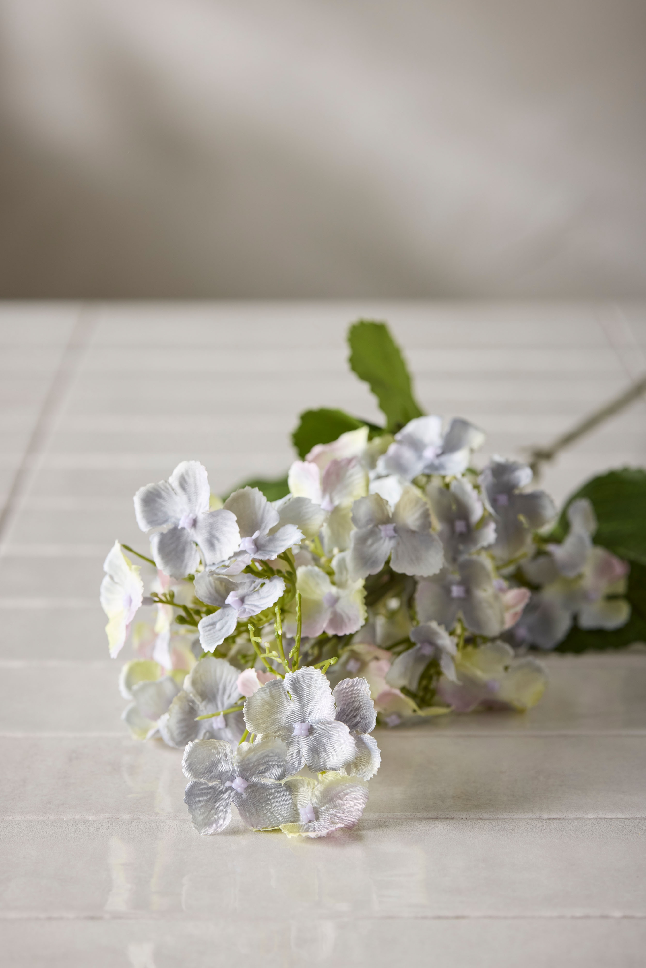 Syrénhortensia