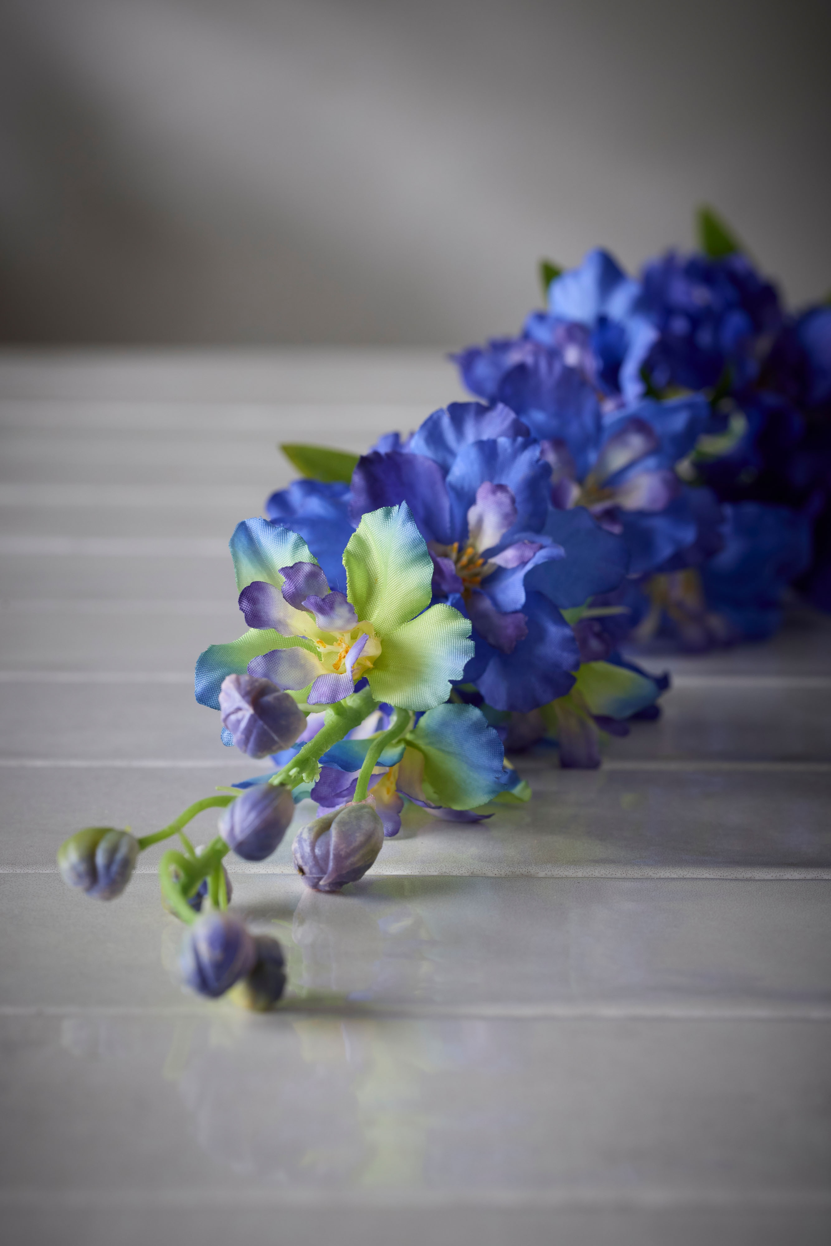 Delphinium