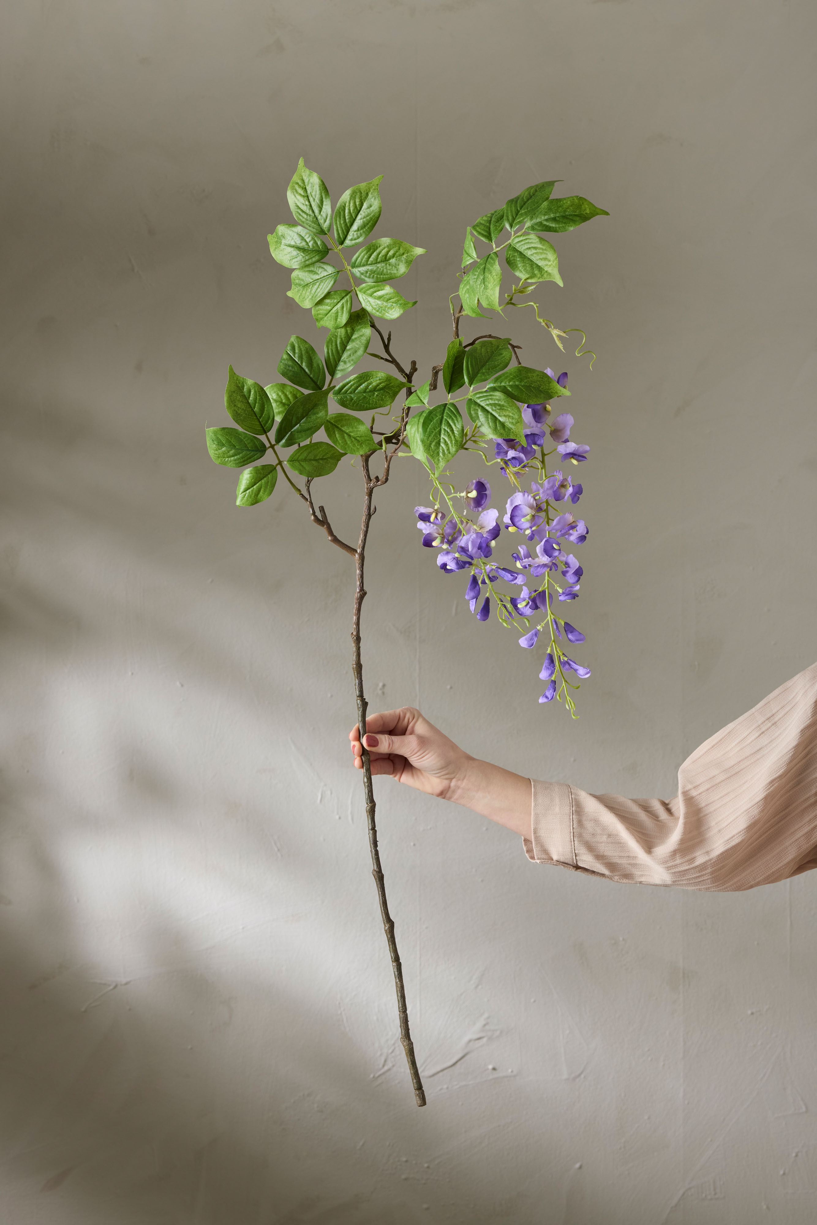 Visteria