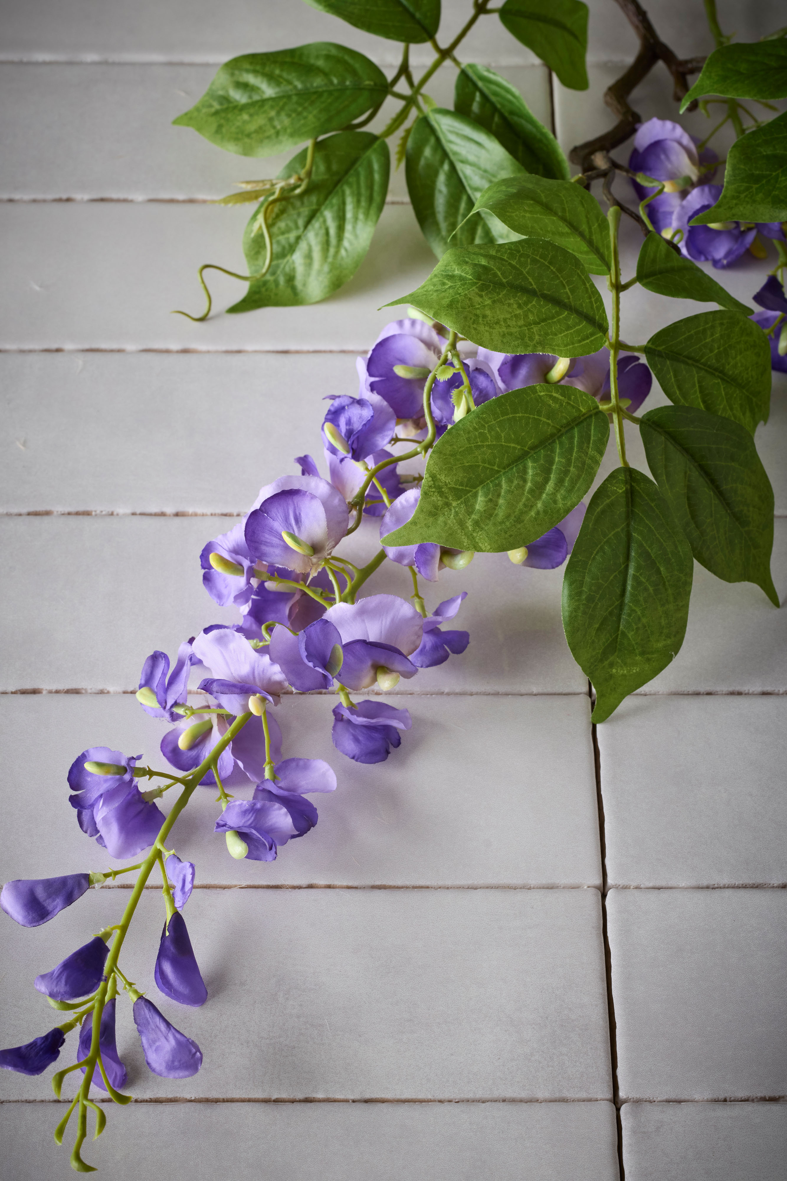 Visteria