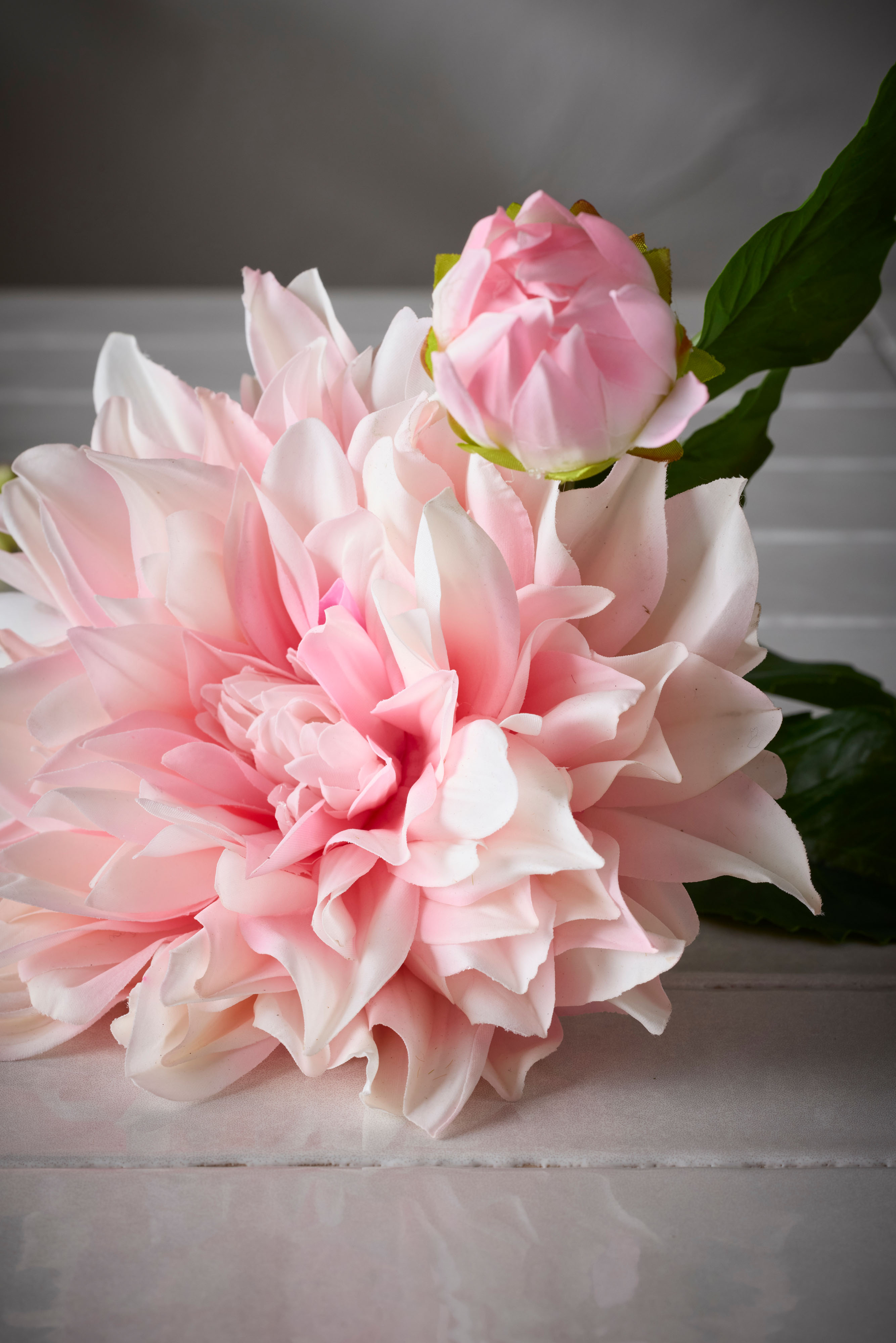 Dahlia