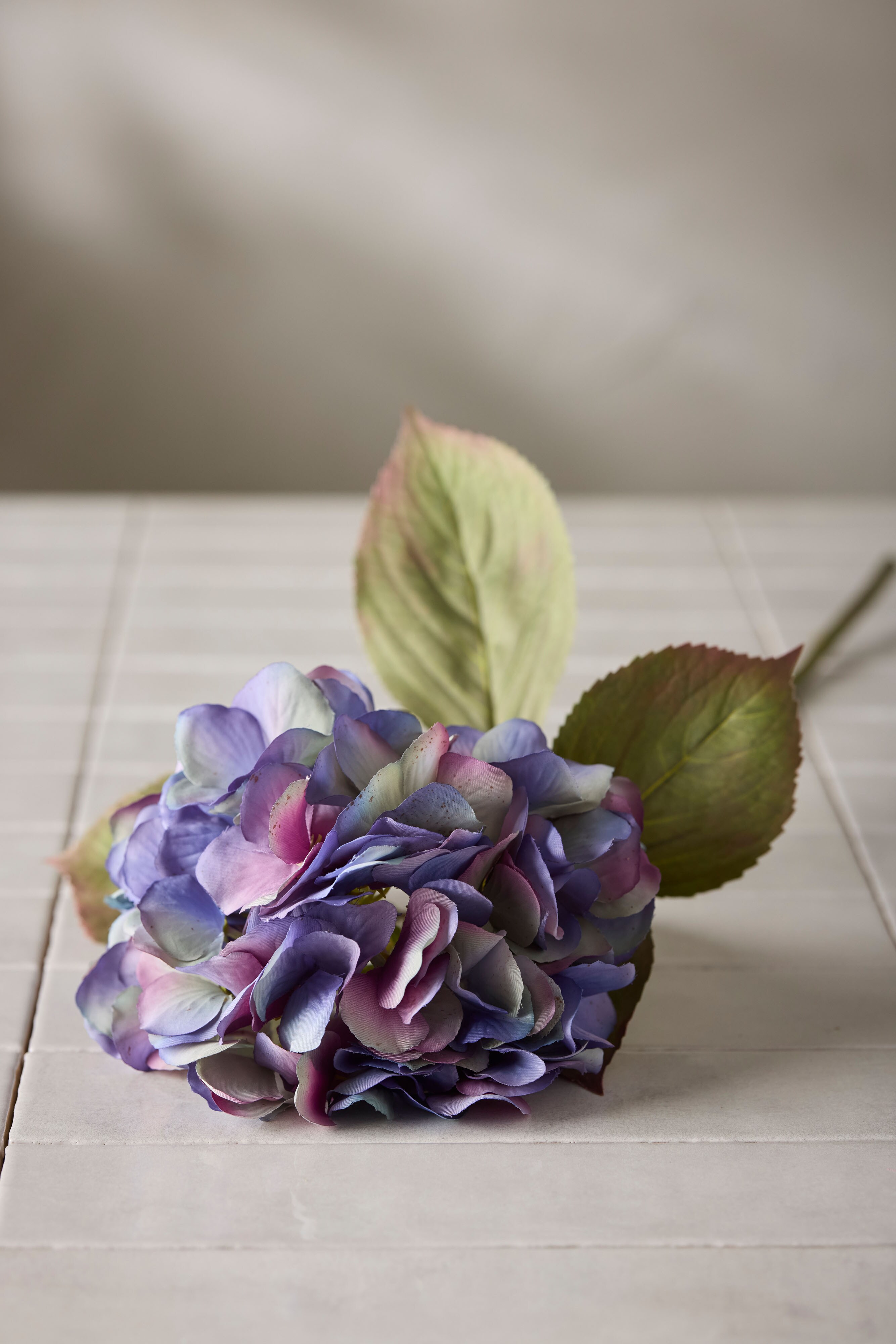 Hortensia