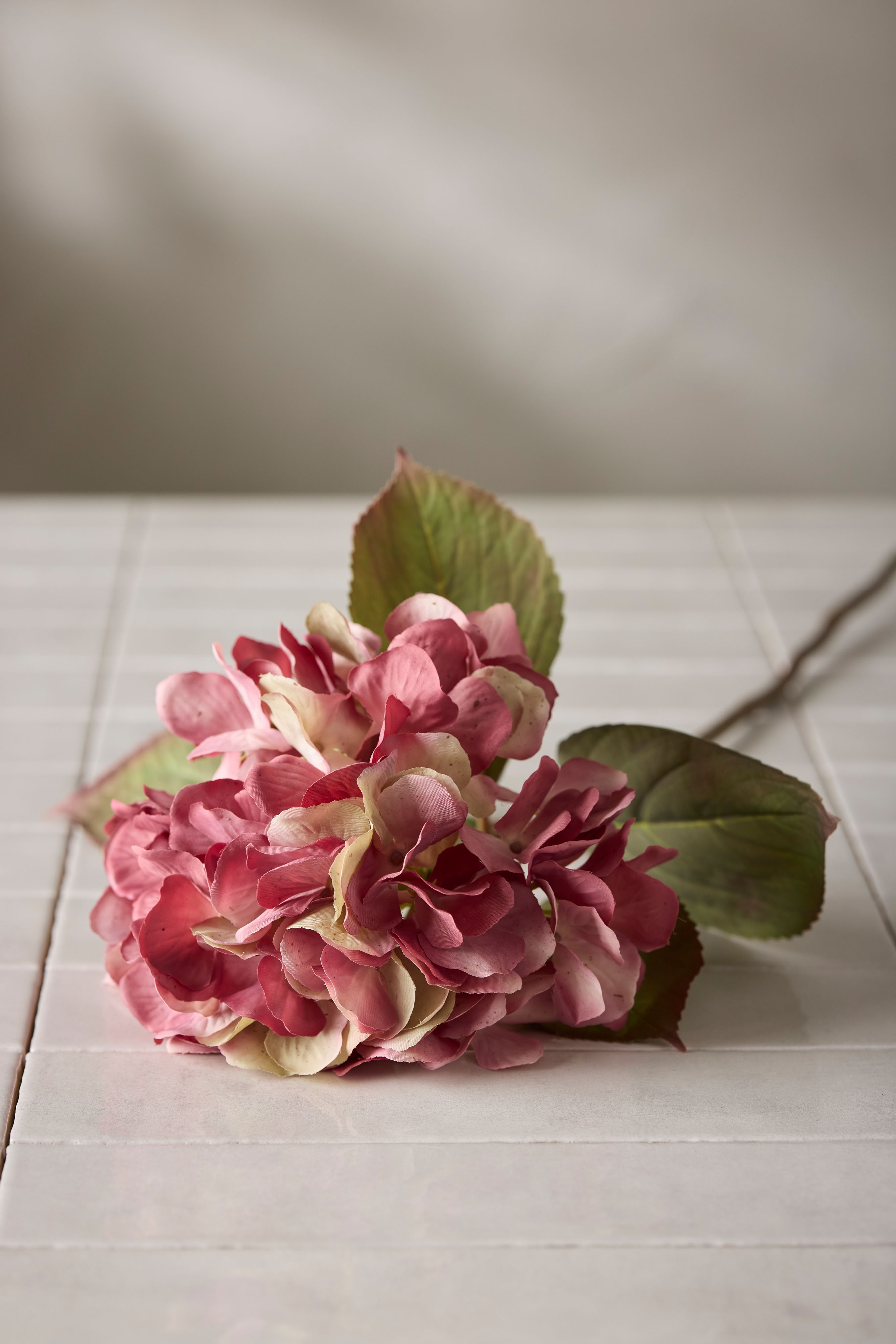 Hortensia
