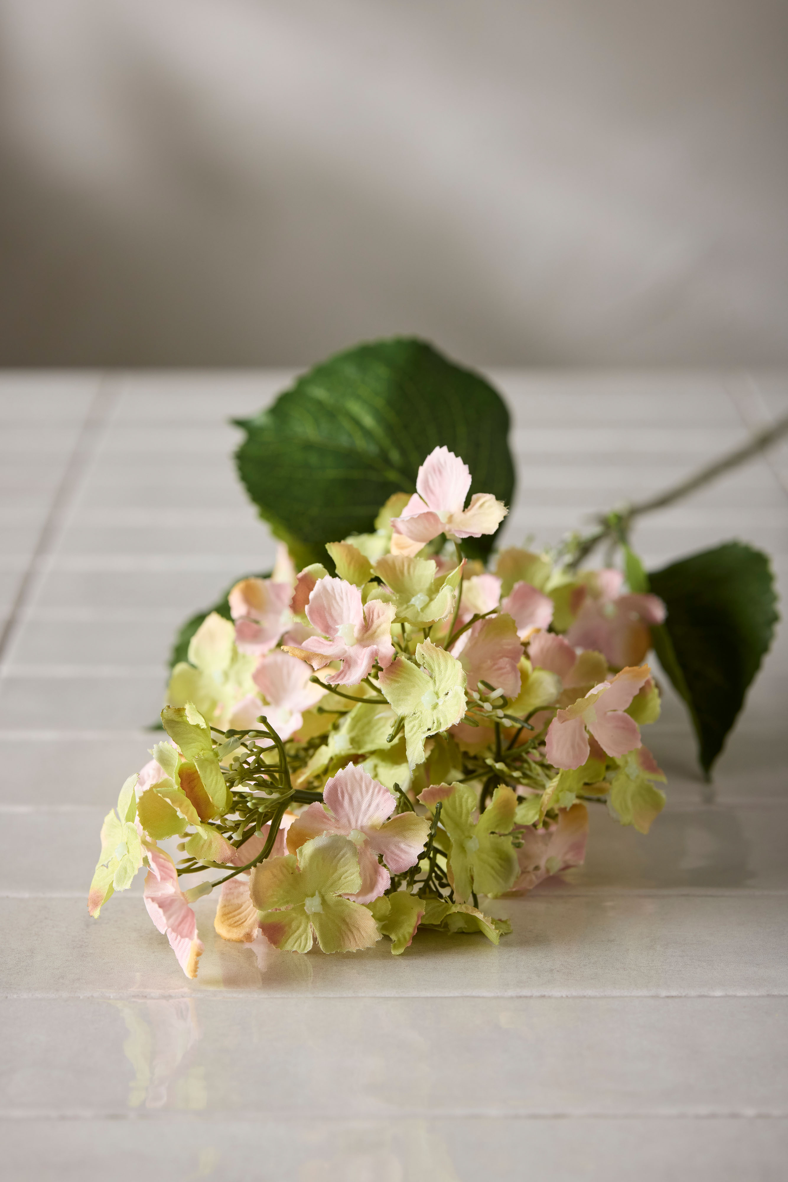Syrénhortensia