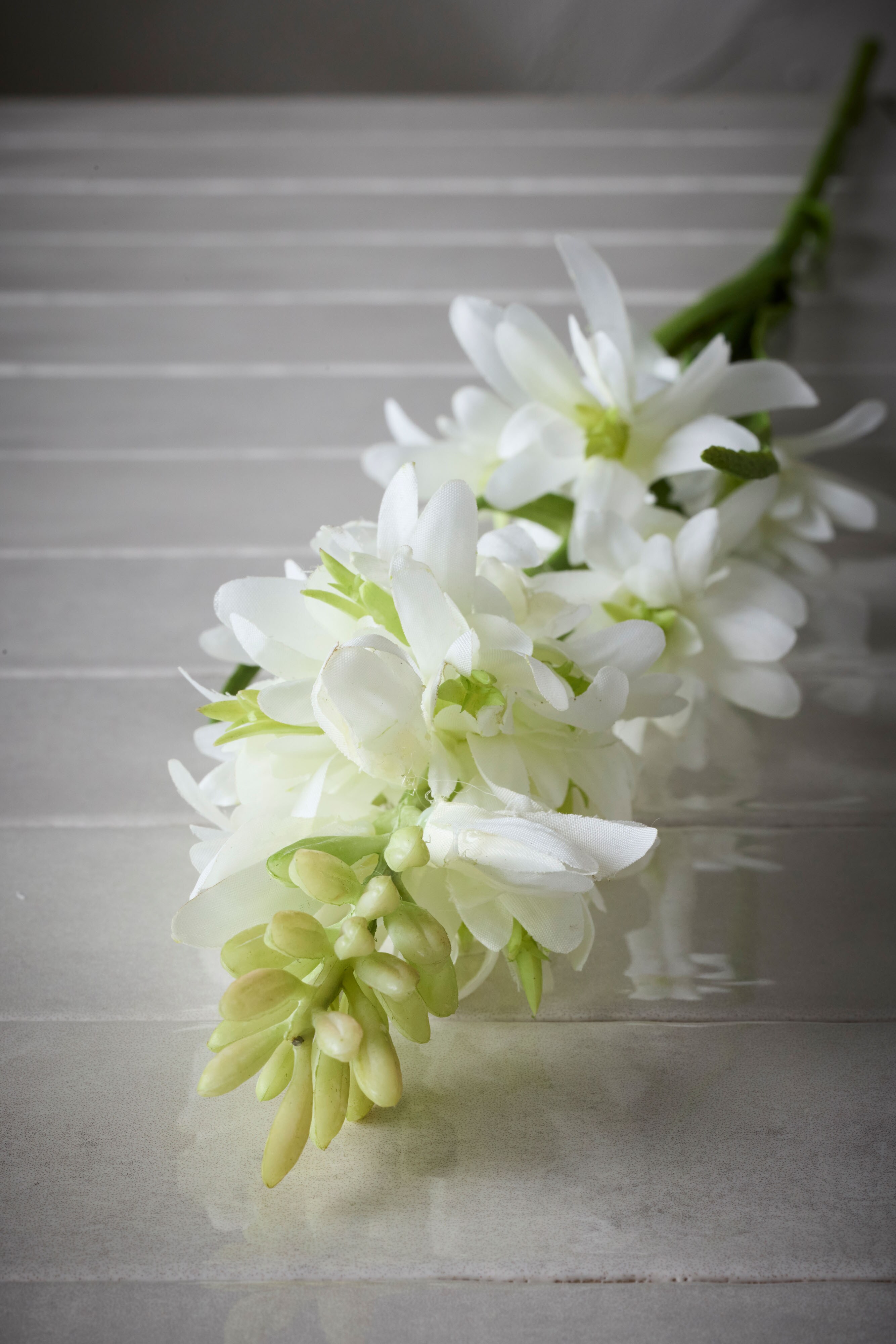 Tuberosa